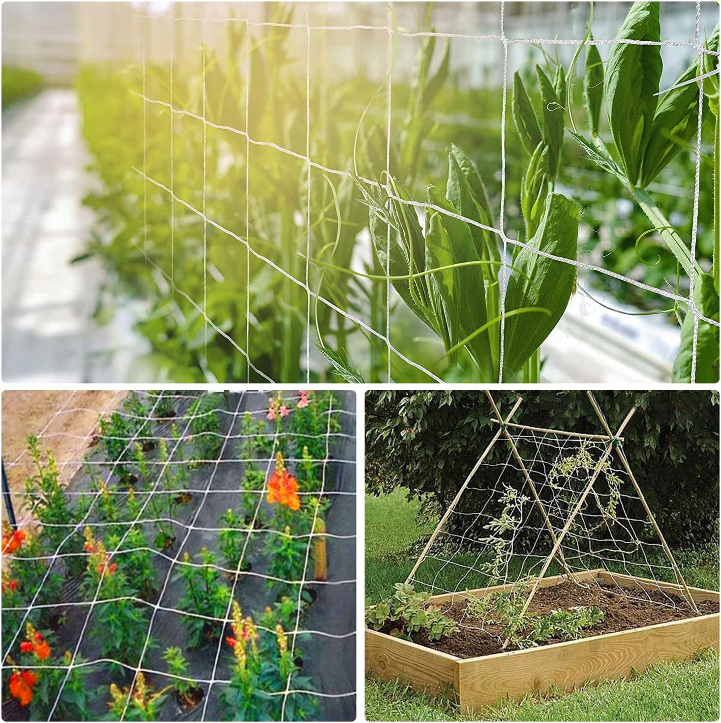 Red enrejada de 6.5 x 20 pies para tienda de cultivo de 6 x 6 pulgadas para plantas trepadoras, red de cultivo interior y exterior para frijoles,