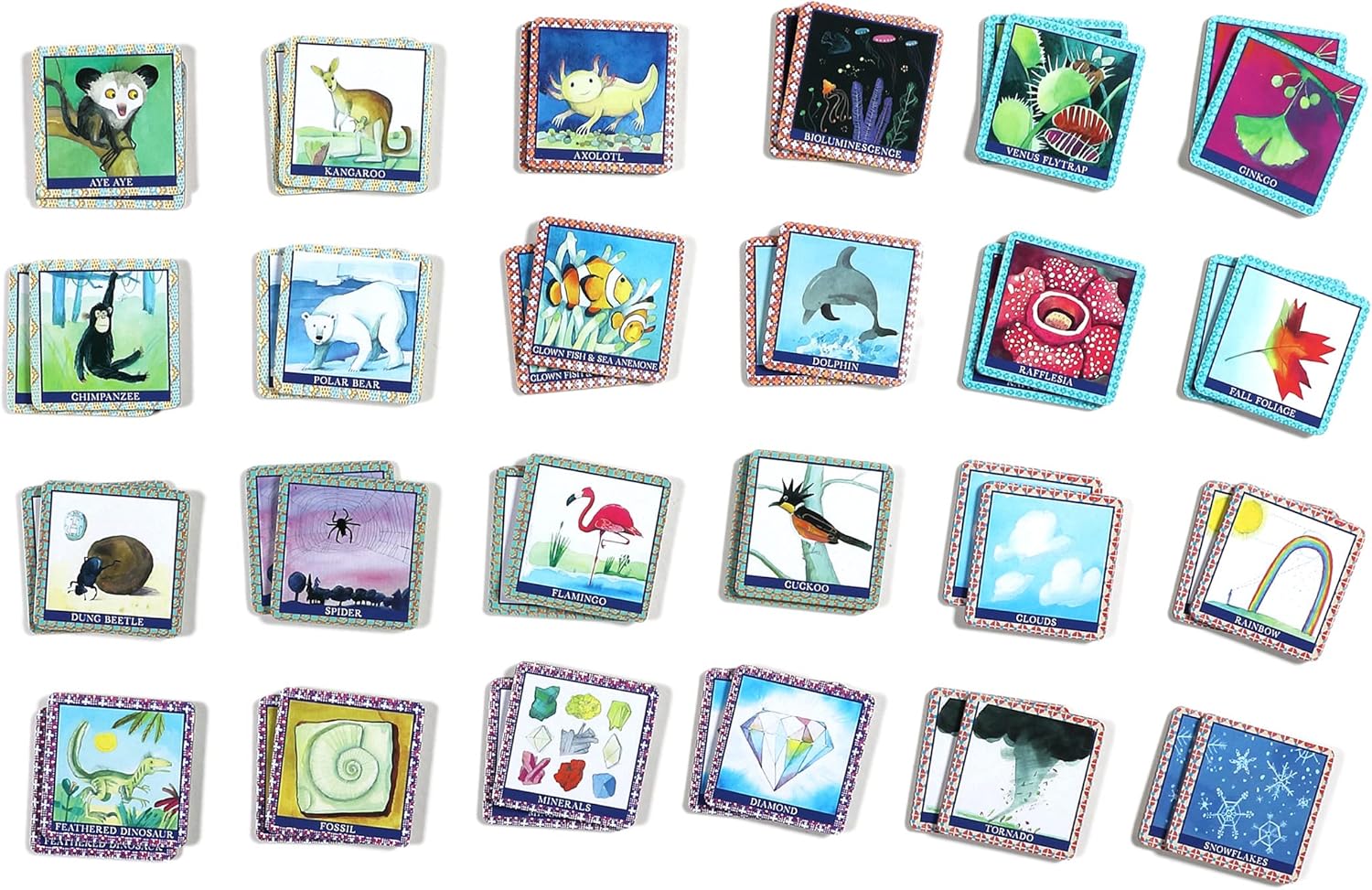 eeBoo Juego de memoria y juego de ciencias naturales, desarrollo y educativo, agudiza el reconocimiento, la concentración y la memoria, perfecto