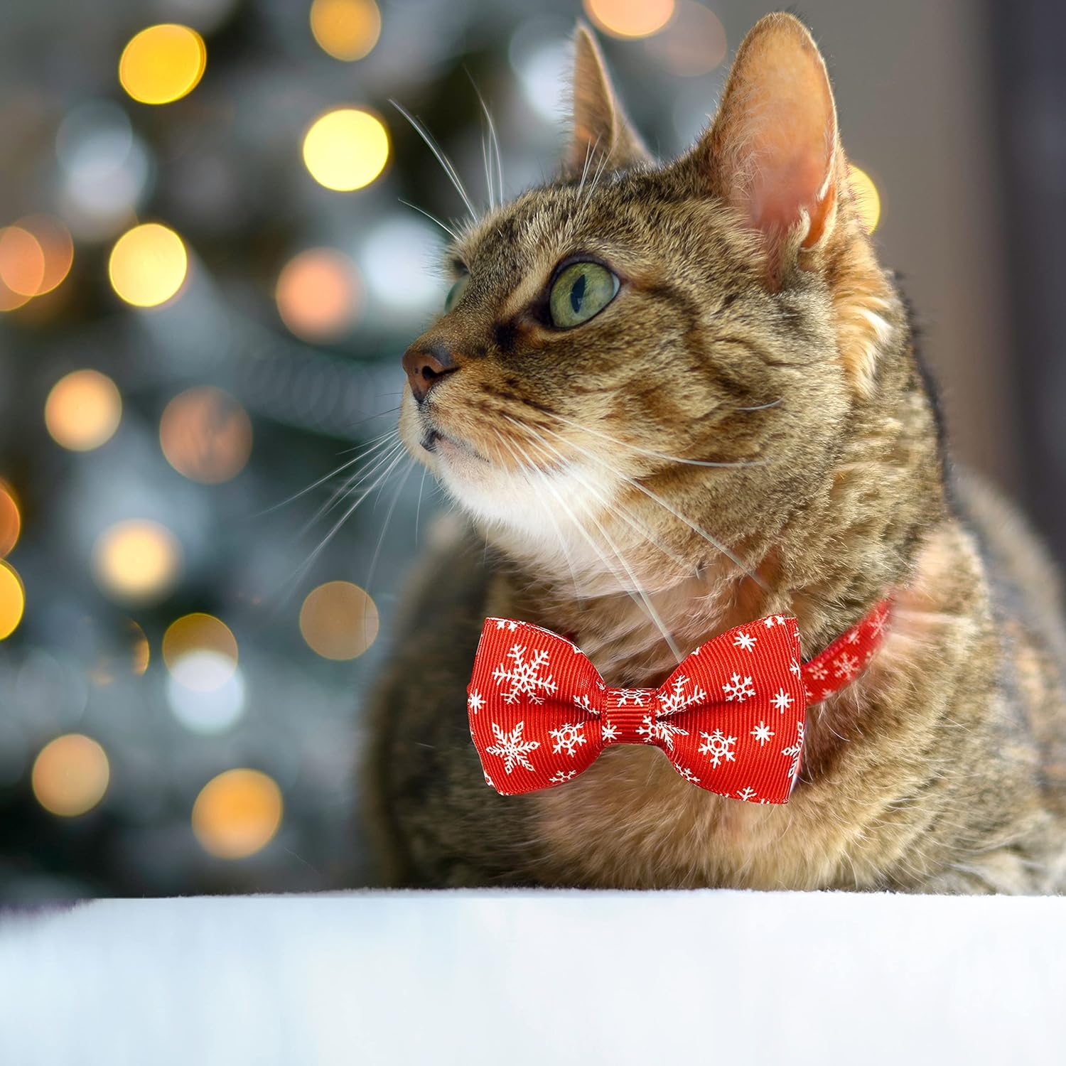 Pohshido Collar de gato navideño con pajarita y campana, paquete de 2 gatitos de invierno para niño y niña