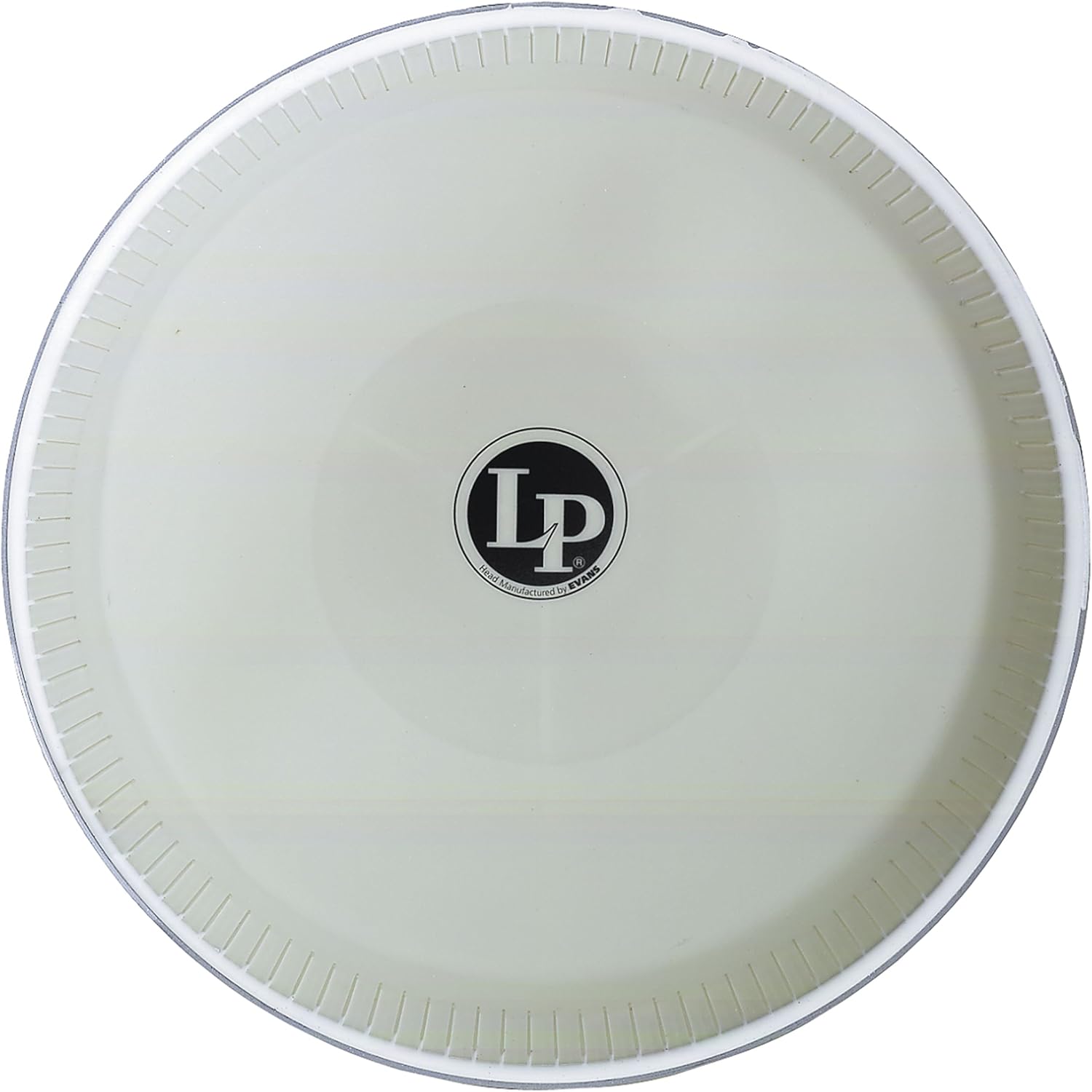 LP Conga Head 12.5″