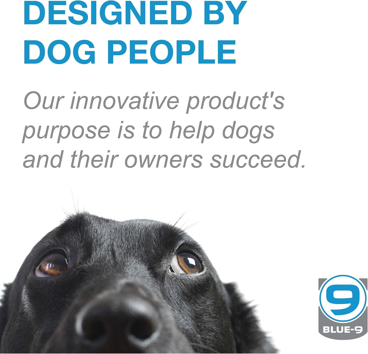 Blue-9 Correa multifunción manos libres para perro, doble accesorio de 6 pies, correa ajustable para obediencia, correr y entrenamiento de agilidad,