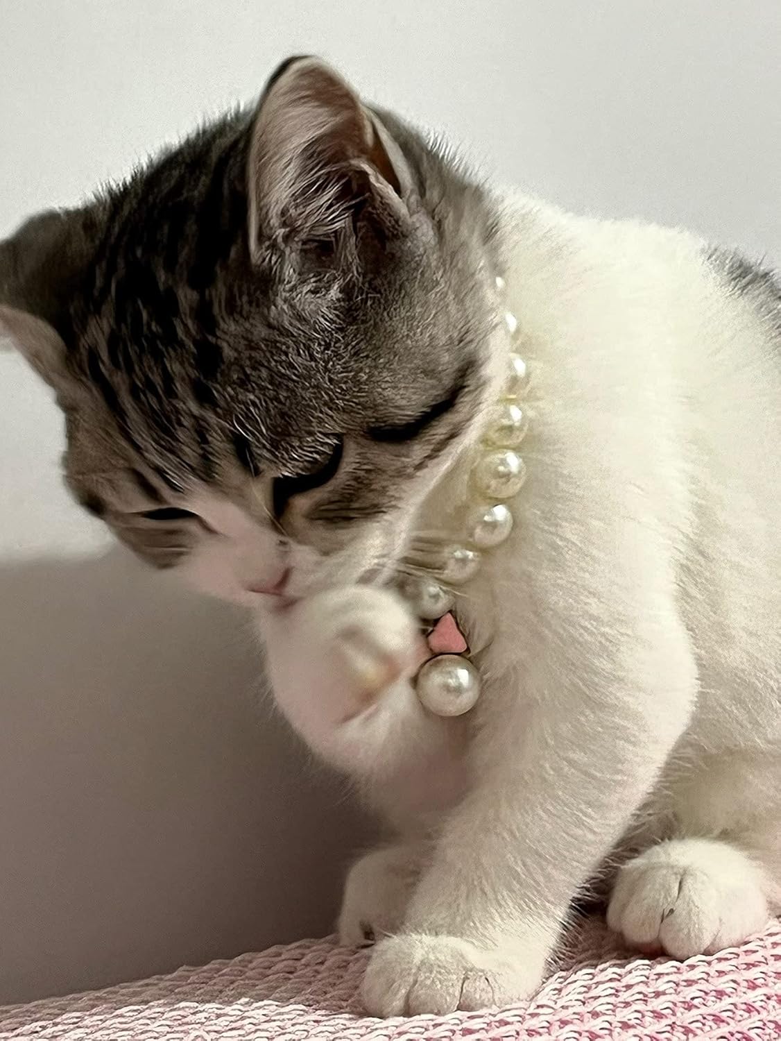 QWINEE Elegante collar de perlas para perro y gato con bonito colgante de pajarita para gato, cachorro, pequeño, mediano, grande, collar de boda,