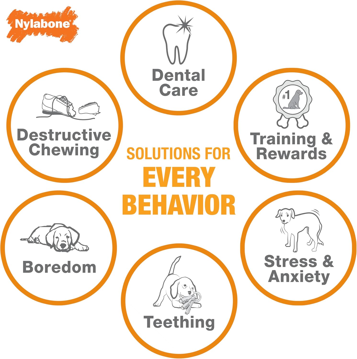Nylabone Flavor Frenzy Power Chew – Juguete masticable para perros sabor carne seca, tamaño pequeñoregular, 1pieza