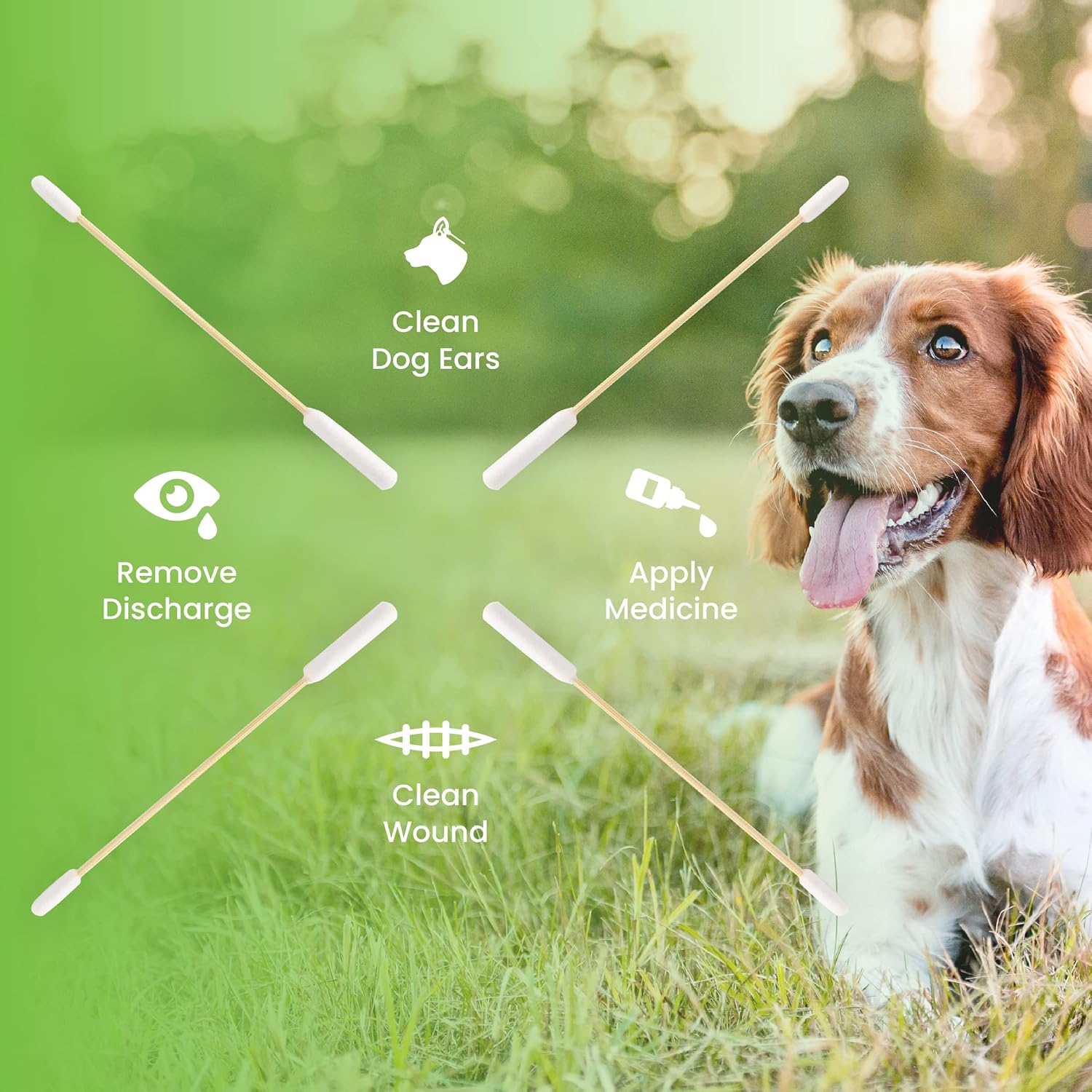 We Love Doodles Kit de solución de limpieza de oídos para perros  Previene infecciones  Orgánico  Fabricado en Estados Unidos  Gotas para los oídos