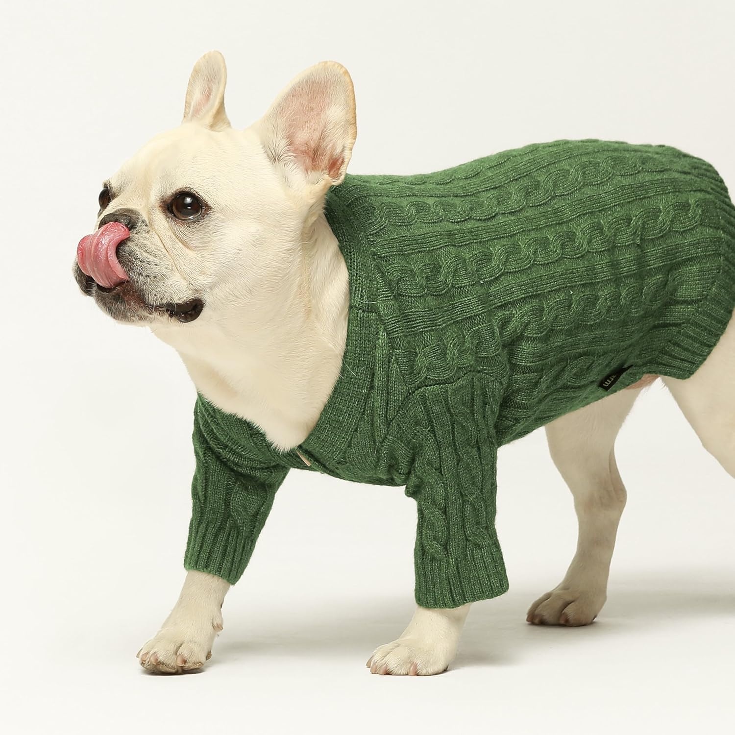Fitwarm Suéter de punto para perro, ropa de invierno de punto para perros pequeños, niños y niñas, traje para mascotas, color verde oliva, talla M