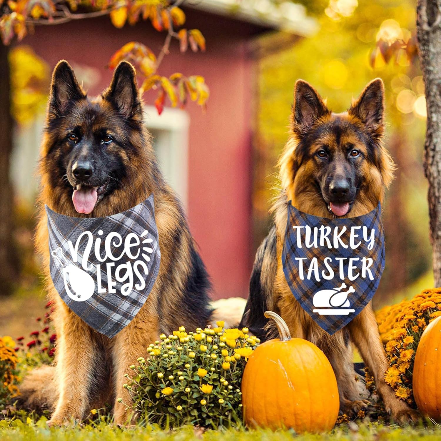 STMK Bandanas navideñas para perros, paquete de 6 bandanas para Halloween, Día de Acción de Gracias, Navidad, para perros pequeños, medianos y