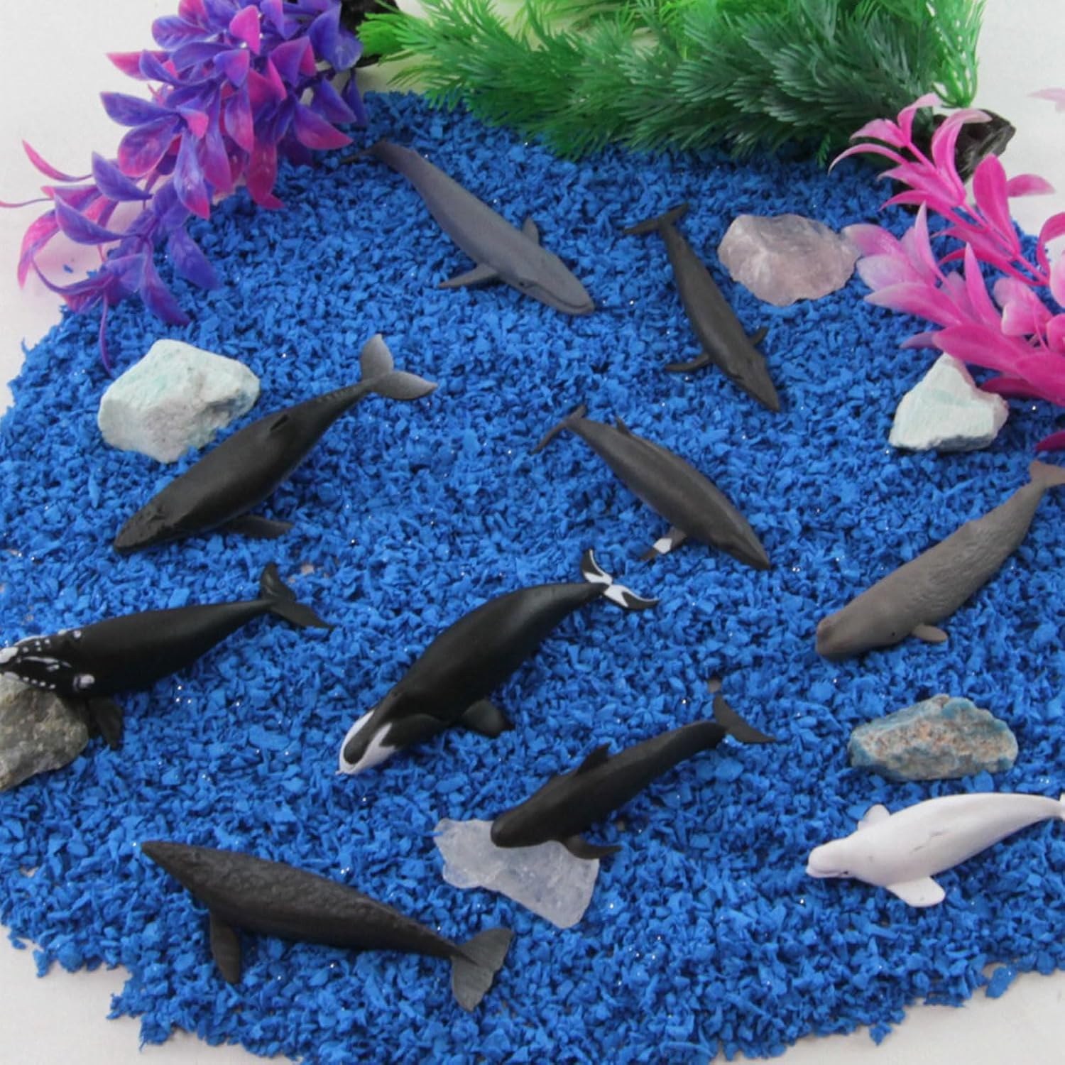 Safari Ltd. Whale TOOB – Juego de figuras detalladas de plástico de 2.5 a 4 pulgadas, divertido juguete educativo de animales oceánicos para niños,