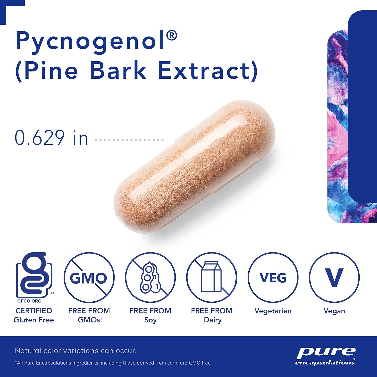 Pure Encapsulations Pycnogenol (extracto de corteza de pino) 50 mg  Suplemento hipoalergénico para apoyar la función cognitiva y la salud