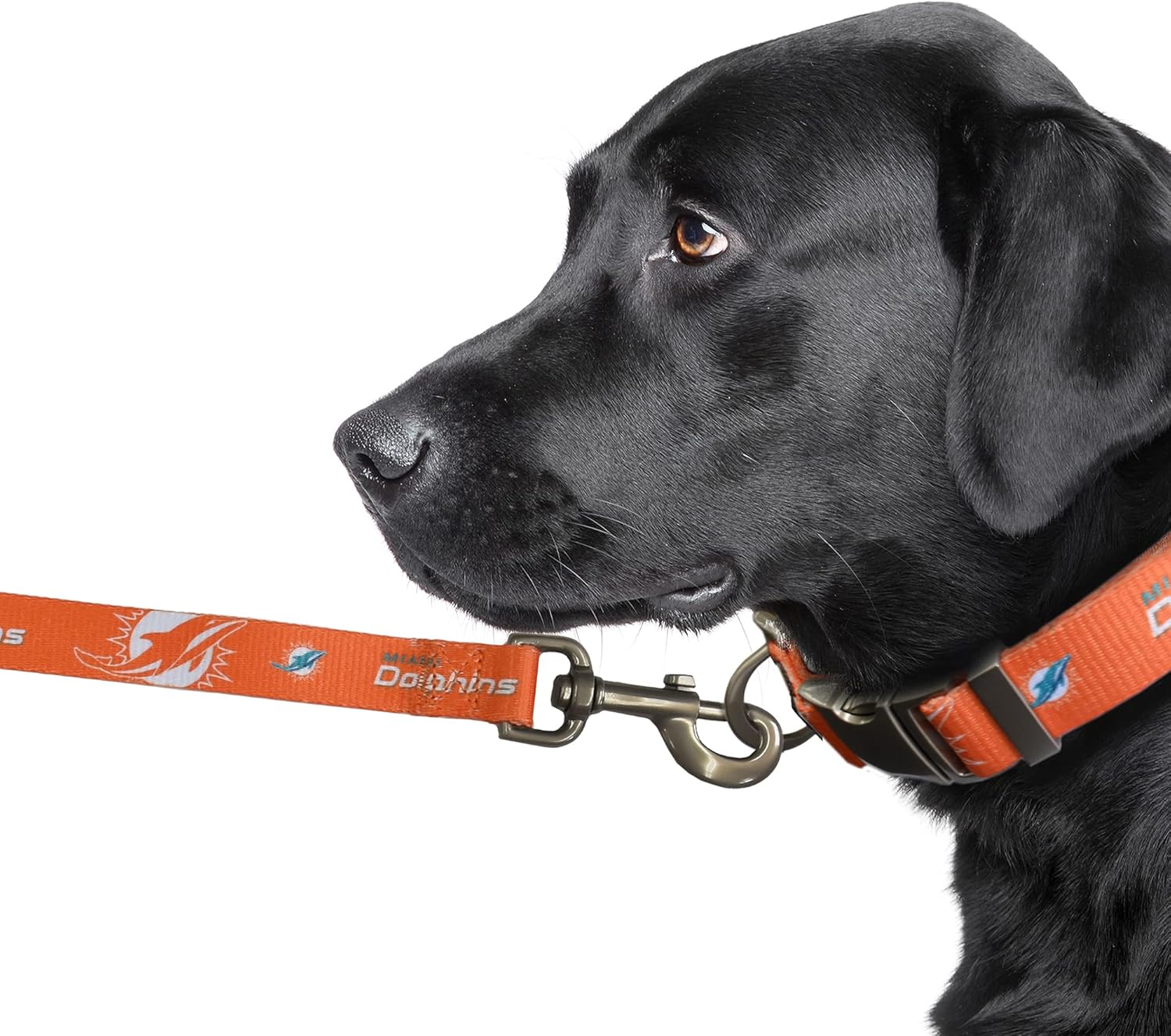 Littlearth NFL – Correa unisex de alta calidad para mascotas