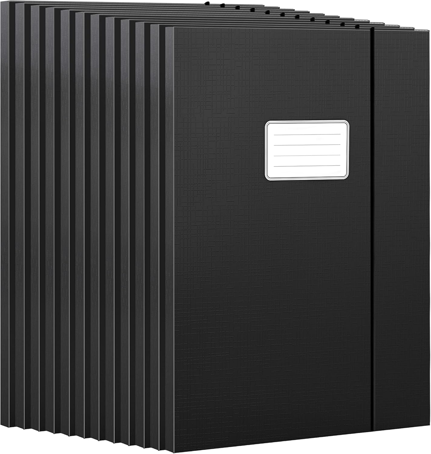 JiaWei Cajas de almacenamiento de 12 unidades, cajas de archivos con tapas y elástico, carpeta de archivos gruesa de 0.4in, carpeta A4 resistente,