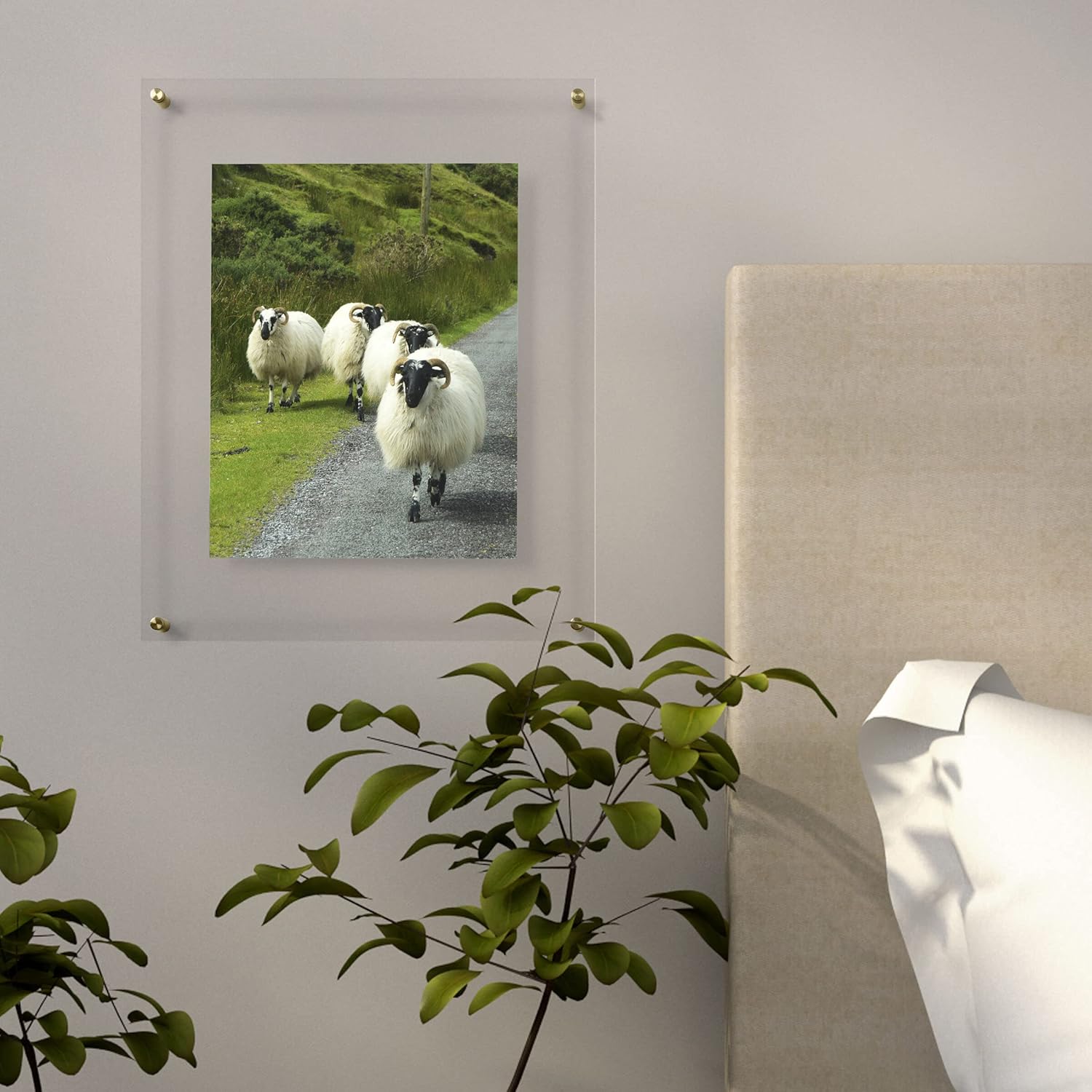 Mikasa Marco de acrílico flotante para fotos de 11 x 14 pulgadas con herrajes dorados, transparente