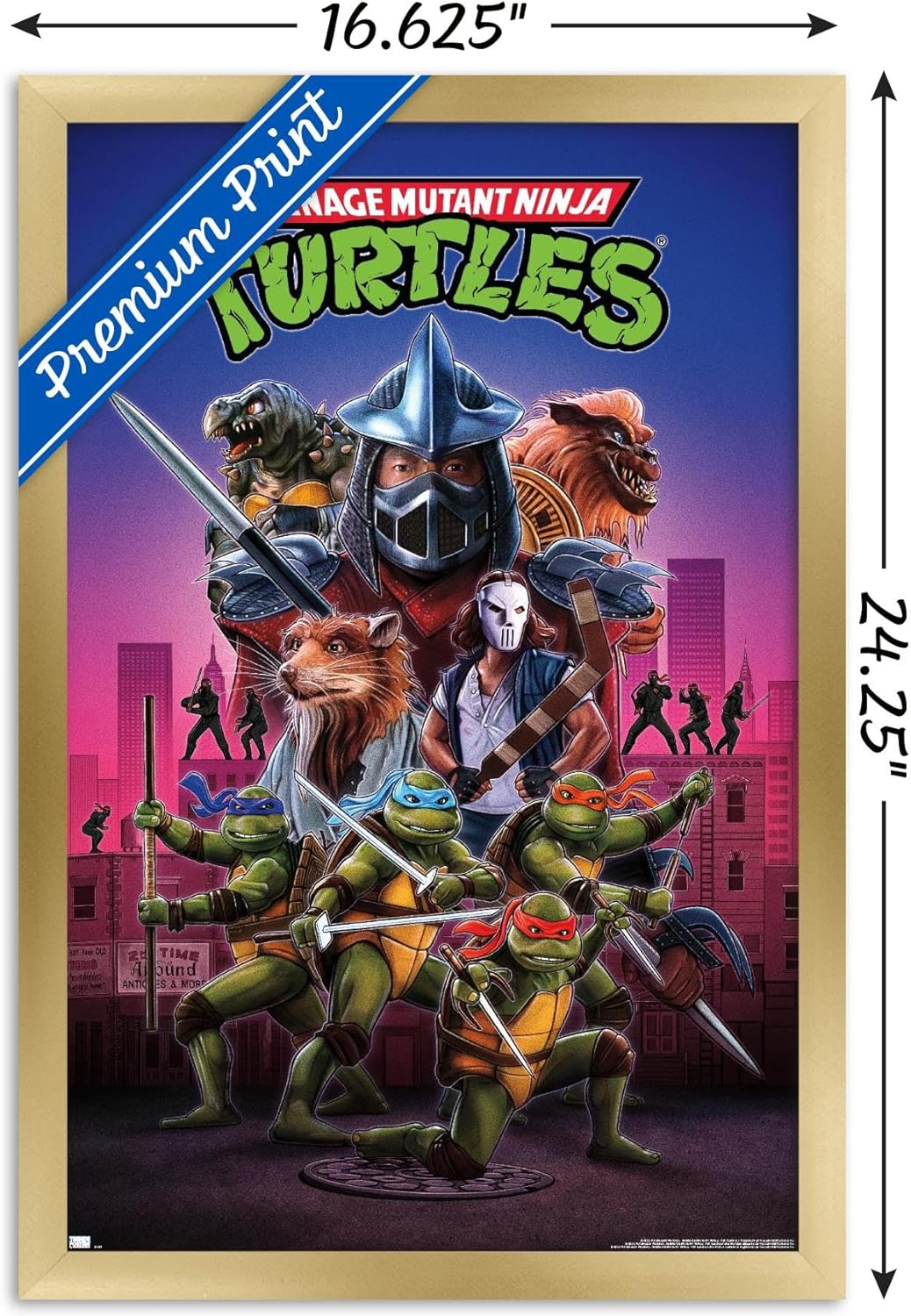 Trends International Teenage Mutant Ninja Turtles (1990) – Póster de pared de una hoja