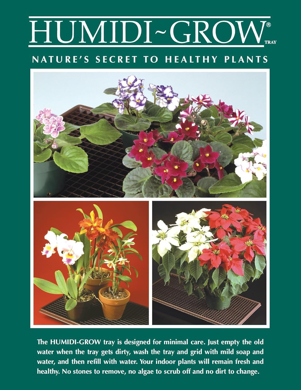 HT-106 – Bandeja de humedad de 26 x 20 x 2.25 pulgadas para orquídeas, violetas africanas, árboles bonsái y otras plantas de interior por Beta Crafts
