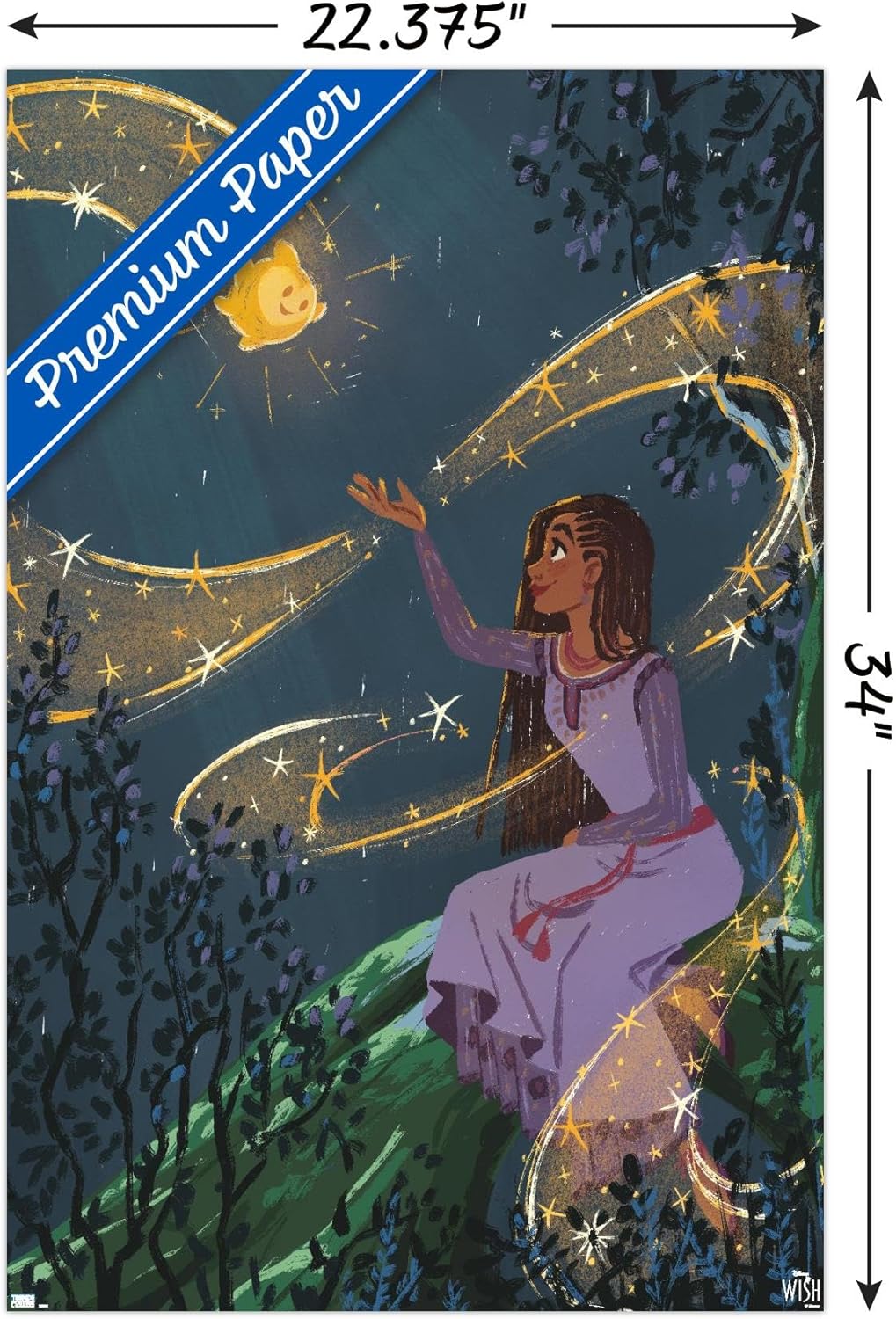 Trends International Disney Wish – Póster de collage 2 (Asha & Star), póster de pared, 22.37 x 34.00 pulgadas, versión premium sin marco