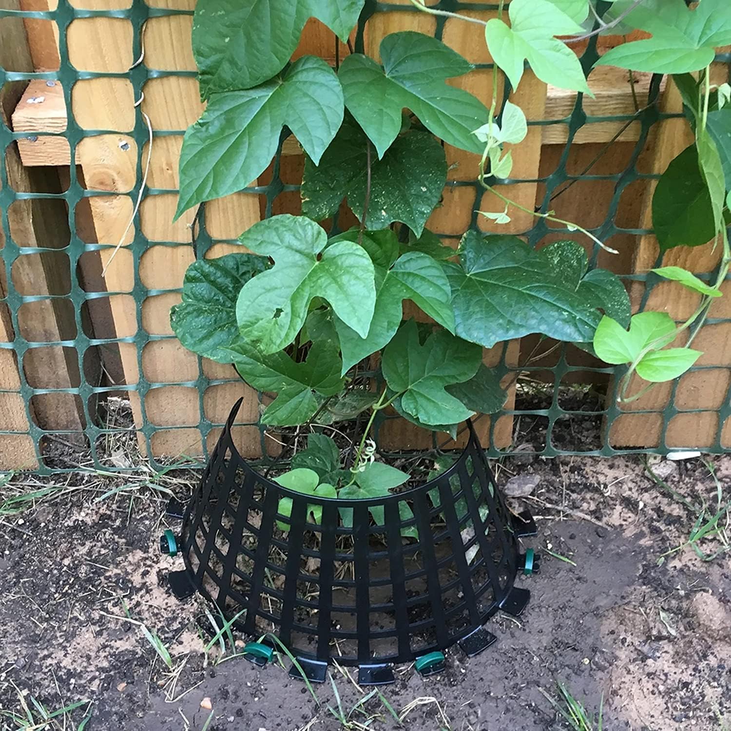 Protector de plástico para prevención de animales de árboles y plantas para césped, jardín, flores, verduras, arbustos y plantones, paquete de 3