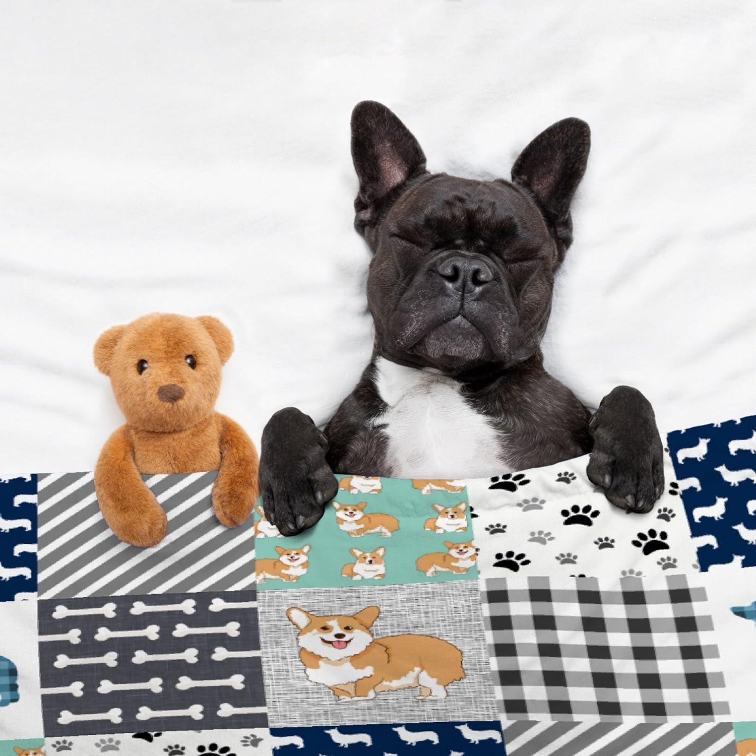 Manta Corgi para niños, niñas, regalo de Corgi para los amantes de Corgi, acogedora franela suave, ligera y cálida, utilizada para habitación y