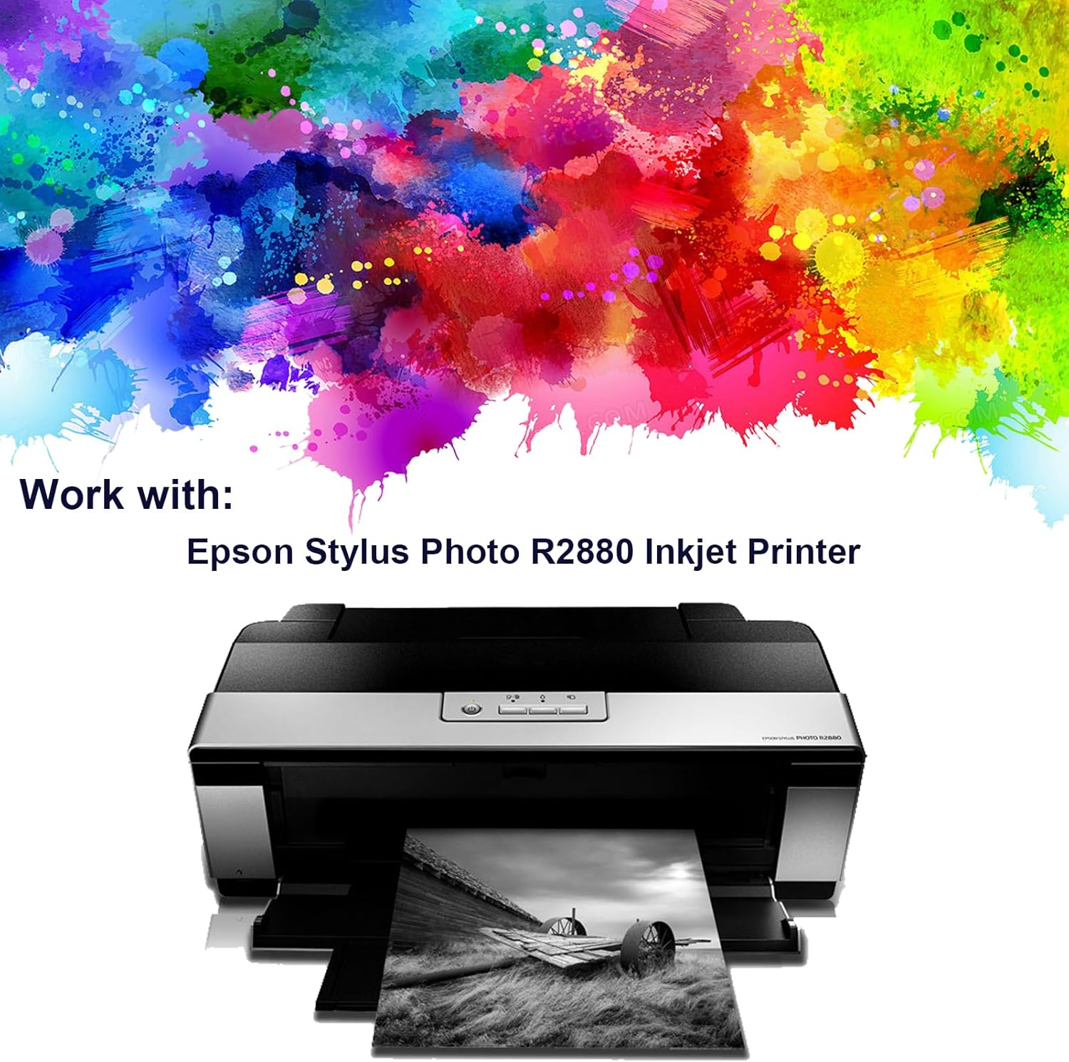 96 T0961 Cartucho de tinta de repuesto para Epson T096 96 Cartuchos de tinta para impresora Epson Stylus Photo R2880 (9 unidades)