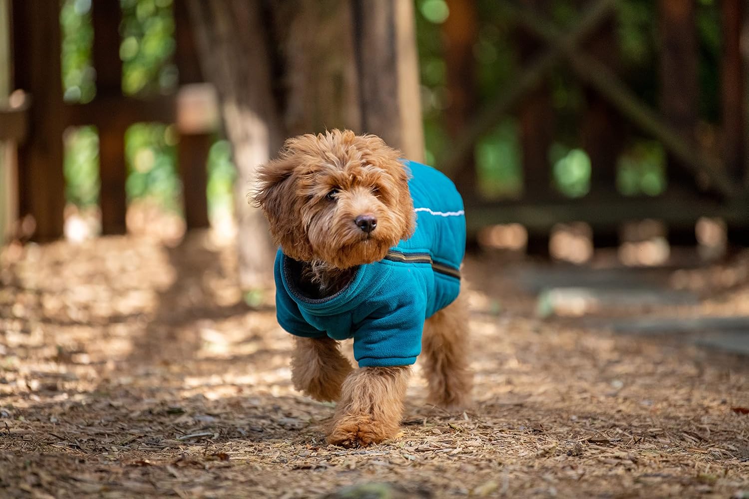 BoxDog Chaqueta cálida de forro polar para perro I Abrigo para perro para clima frío  Chaquetas para perros pequeños (pequeño)
