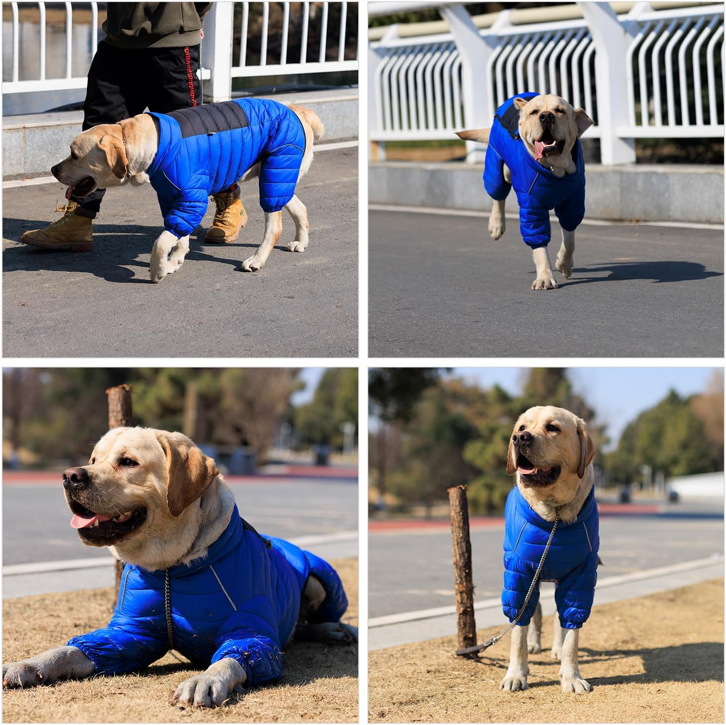 Abrigo para perro, chaqueta cálida para perro, 4 patas cubiertas, impermeable, resistente al viento, reflectante, chaleco cálido para perro, con