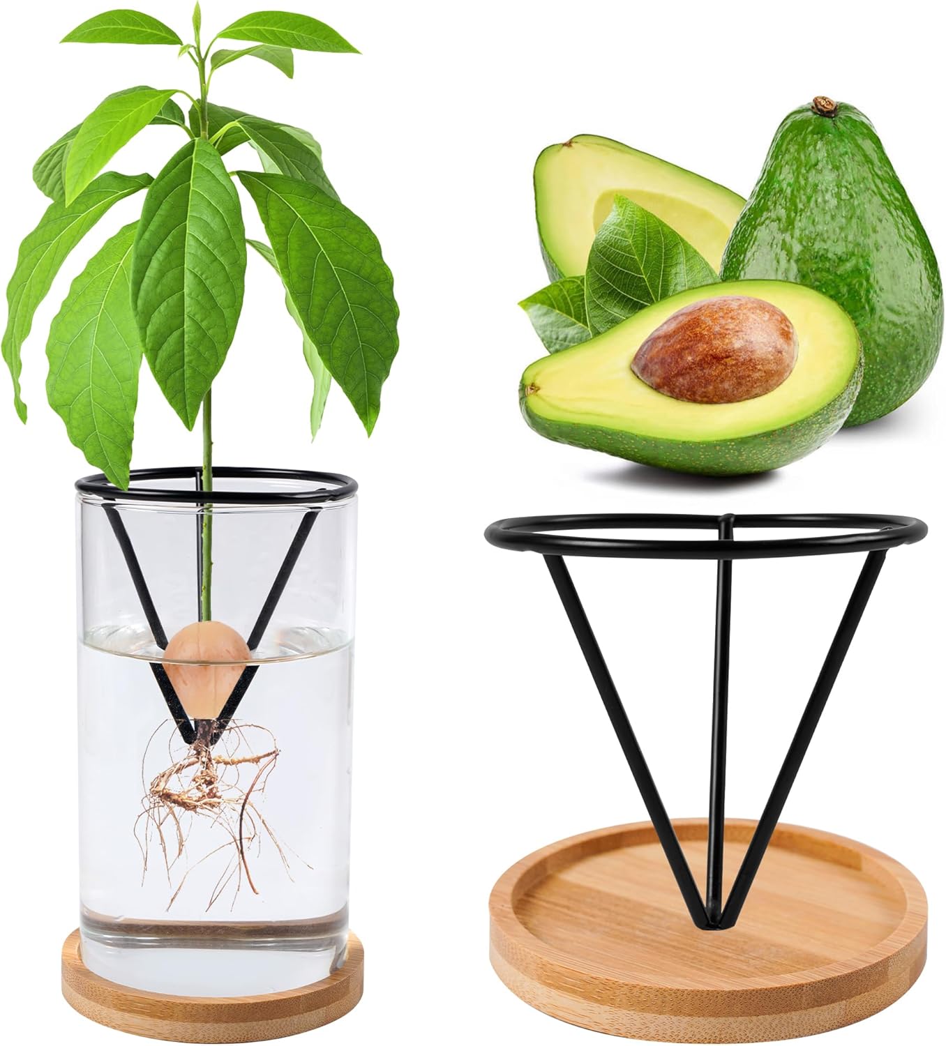 Bylion Kit de cultivo de árboles de aguacate, jarrón de cultivo de aguacate, base de madera, jarrón de iniciación de semillas de aguacate, maceta de