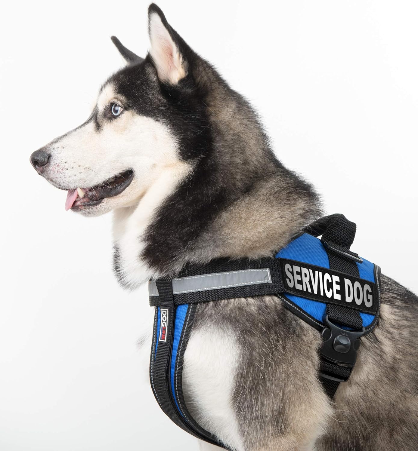 DogLine Parches De Velcro desmontable “Servicio perro etiquetas, Service Dog
