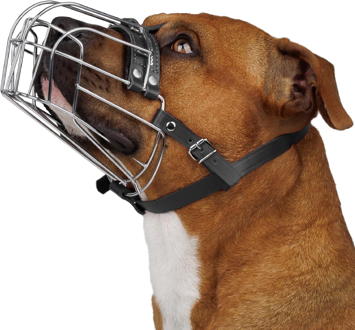 BRONZEDOG Bozal para perros con máscara de metal para perros medianos y grandes (tamaño 4 Pitbull y Amstaff)