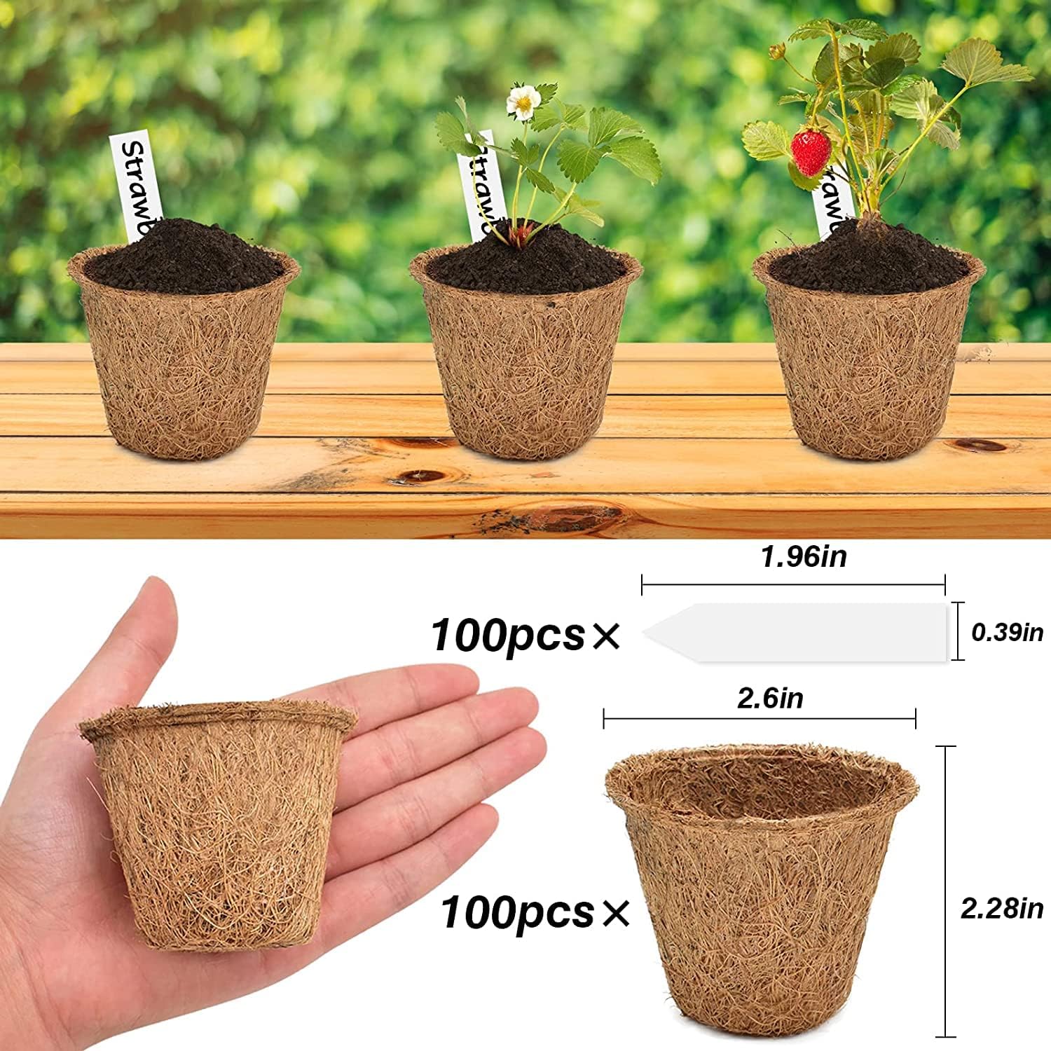 Halatool Paquete de 100 macetas de turba de coco para principiantes, macetas biodegradables para jardín, guardería, kits de germinación de semillas