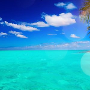 Mi Alma Calcomanías de vinilo extraíbles 3D para pared, calcomanías de vinilo para pared, gran variedad de playas tropicales, fáciles de aplicar, Mi Alma Calcomanías de vinilo extraíbles 3D para pared, calcomanías de vinilo para pared, gran variedad de playas tropicales, fáciles de aplicar,