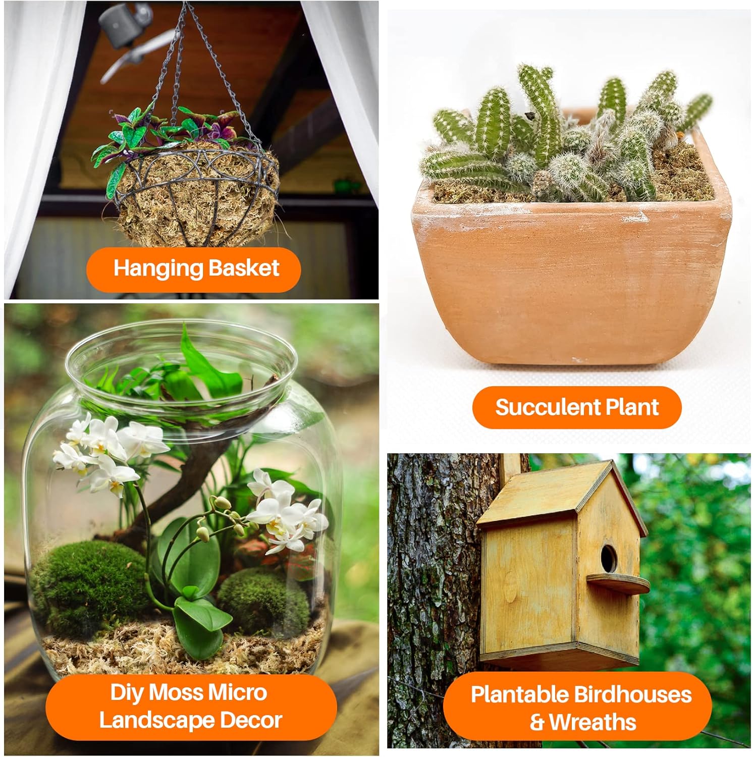 Sukh Musgo de esfagnum para plantas de 20 onzas, musgo de turba de esfagno, musgo seco natural de fibra larga para orquídeas, suculentas,
