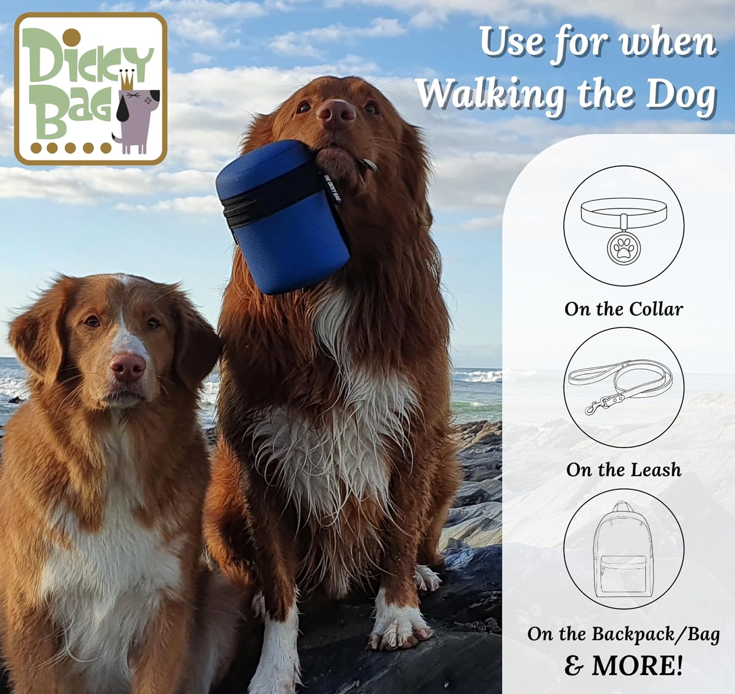 Soporte reutilizable para excrementos de perro con dispensador de bolsas de residuos, transportador de sacos con sello de olor para bolsas de