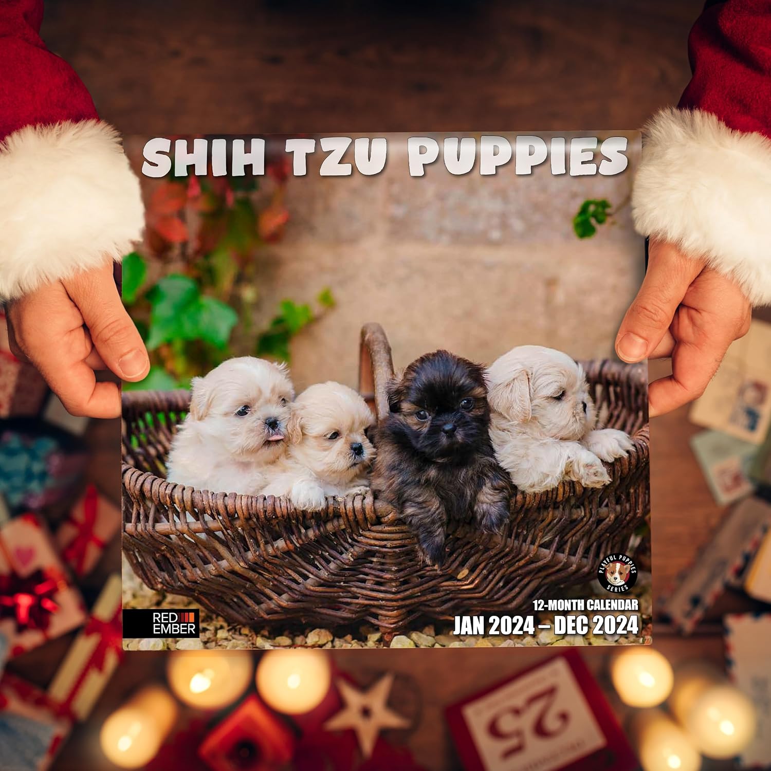 RED EMBER Shih Tzu Puppies – Calendario mensual de pared colgante 2024, 12 x 24 pulgadas, abierto, papel grueso y resistente, para regalo, lindo