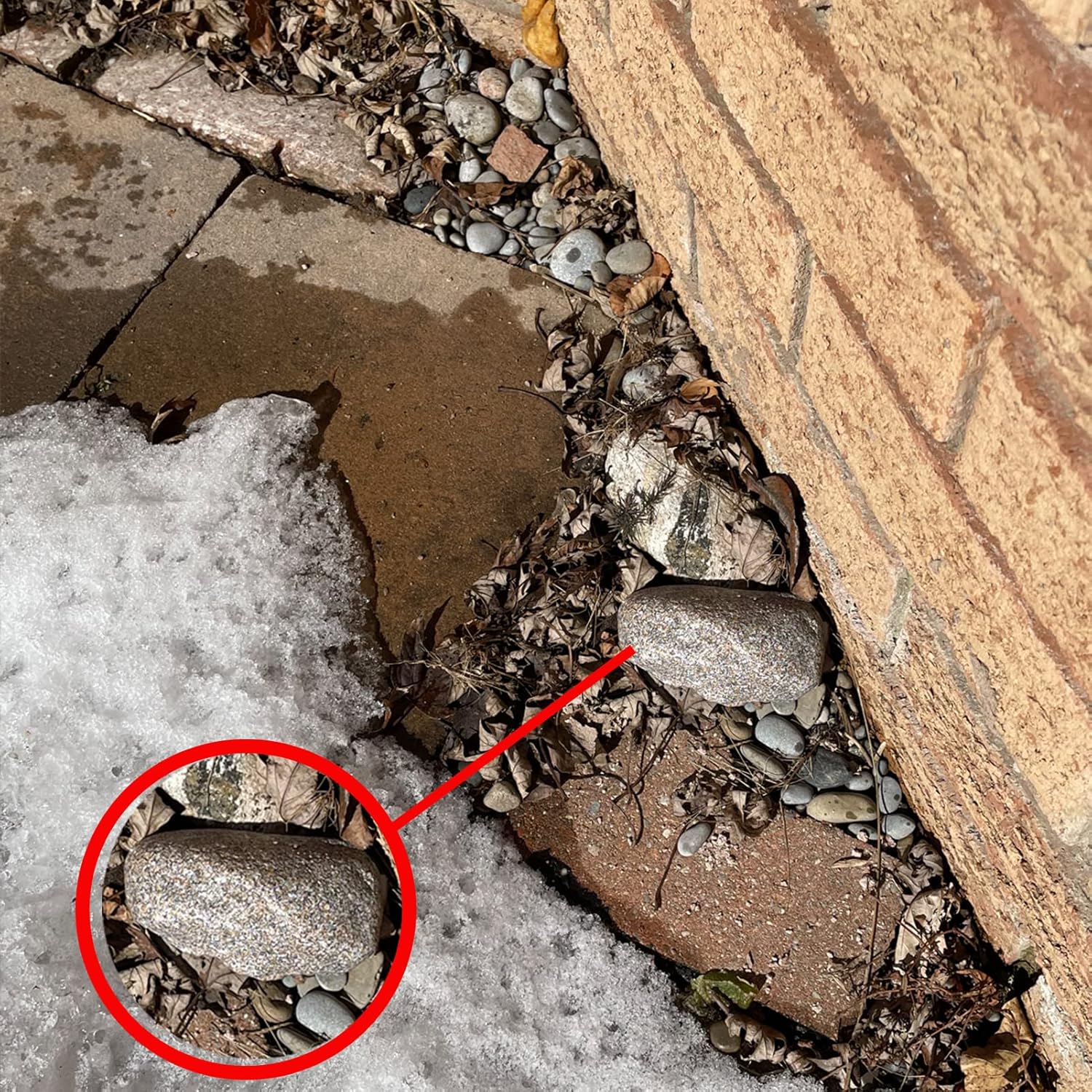 PANGAEA Hide-a-Spare-Key – Roca falsa  Se ve y se siente como piedra real  Seguro para jardín al aire libre o patio, geocaching (tipo C, 1 paquete),