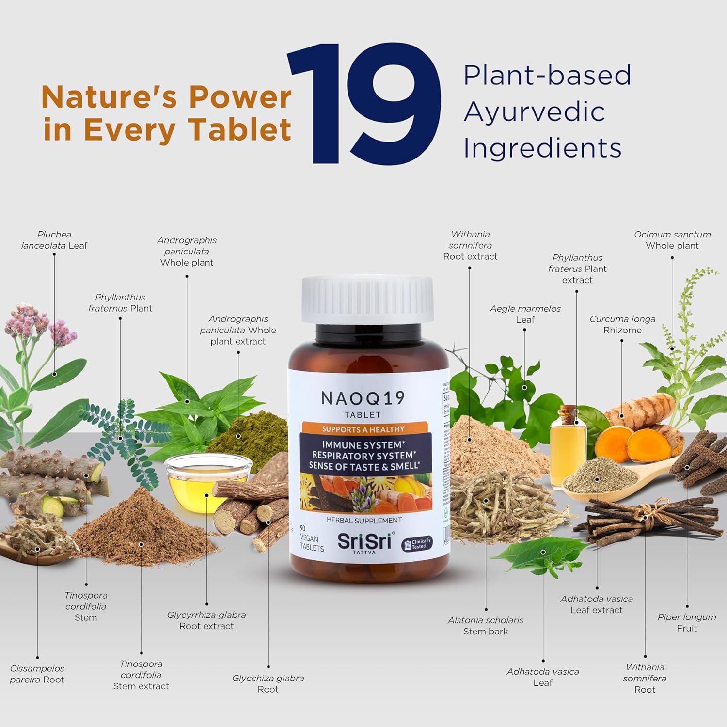 SRI SRI TATTVA Suplemento de inmunidad NAOQ19 con Ashwagandha, regaliz, andrographis, cúrcuma – Suplementos herbales ayurveda para apoyo