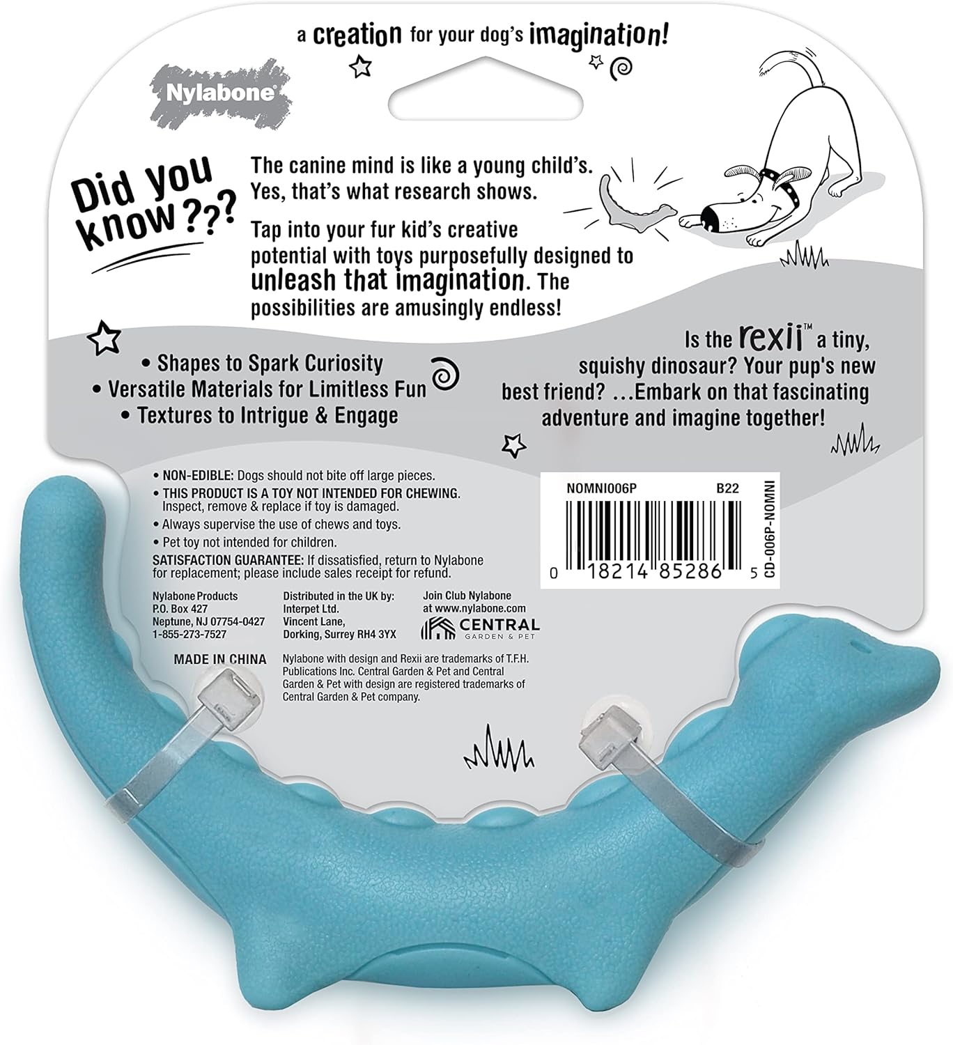 Nylabone Rexii – Juguete interactivo para perros pequeños – Juguete ligero y flexible para perros para juego creativo y ejercicio para perros