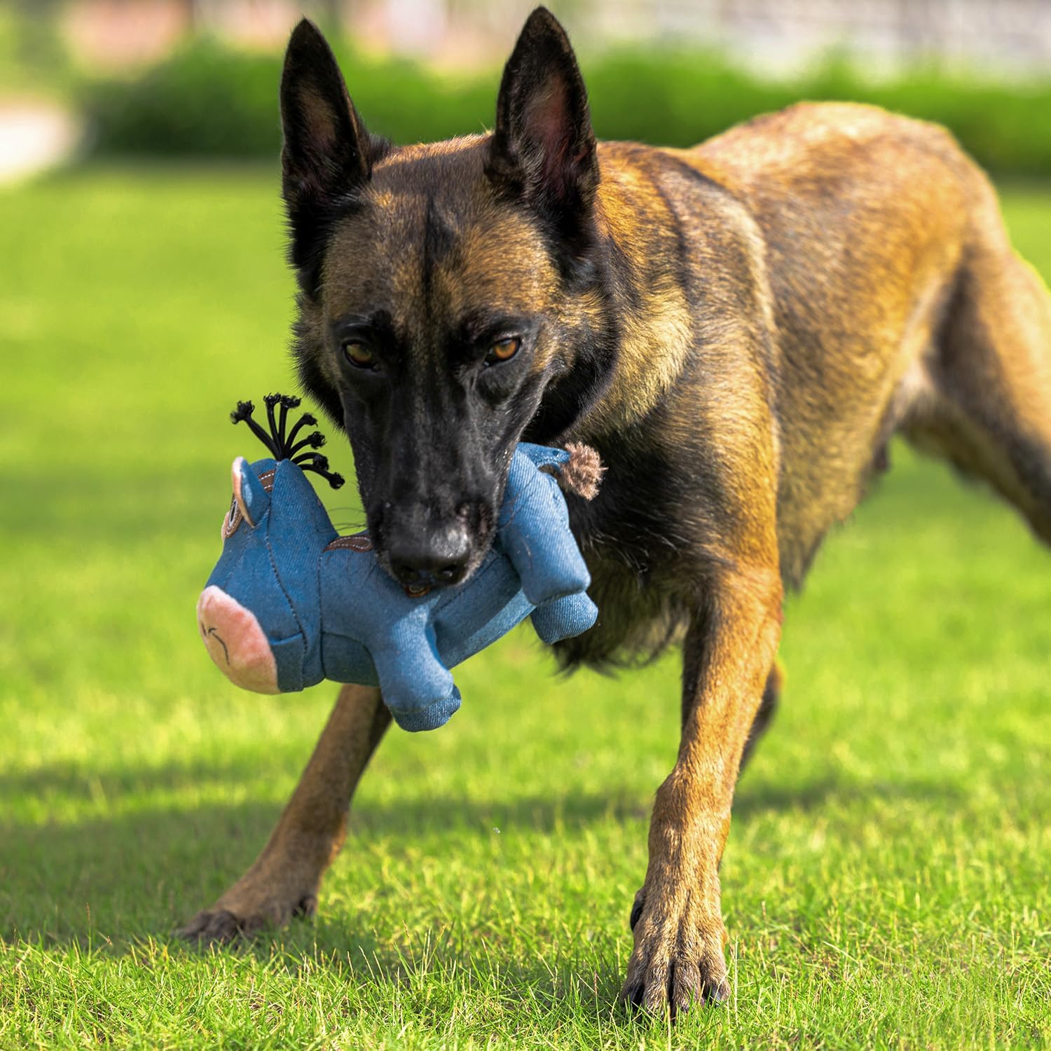 Sedioso Juguete chirriante para perro, juguete duradero para perros de raza grande, juguete de peluche para perros con papel arrugado, lindo juguete