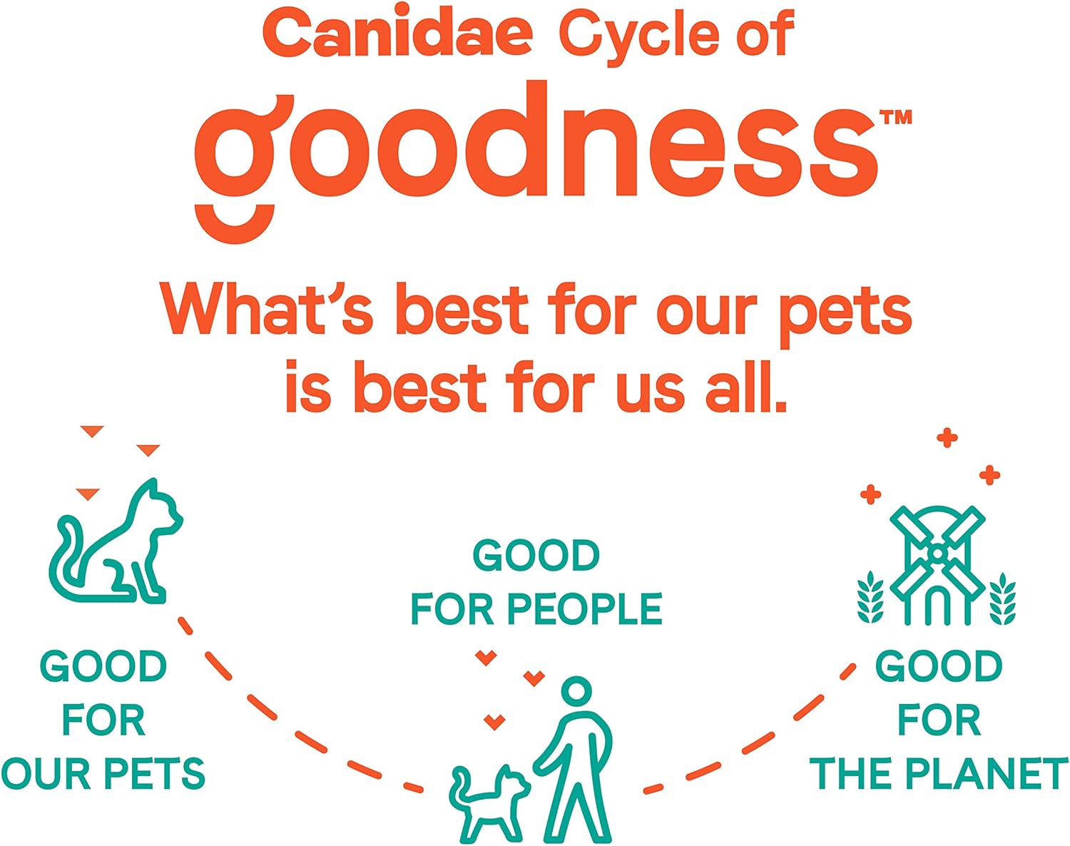 Canidae Goodness for Digestion, alimento seco prémium para gatos adultos con pollo real, 5 libras.