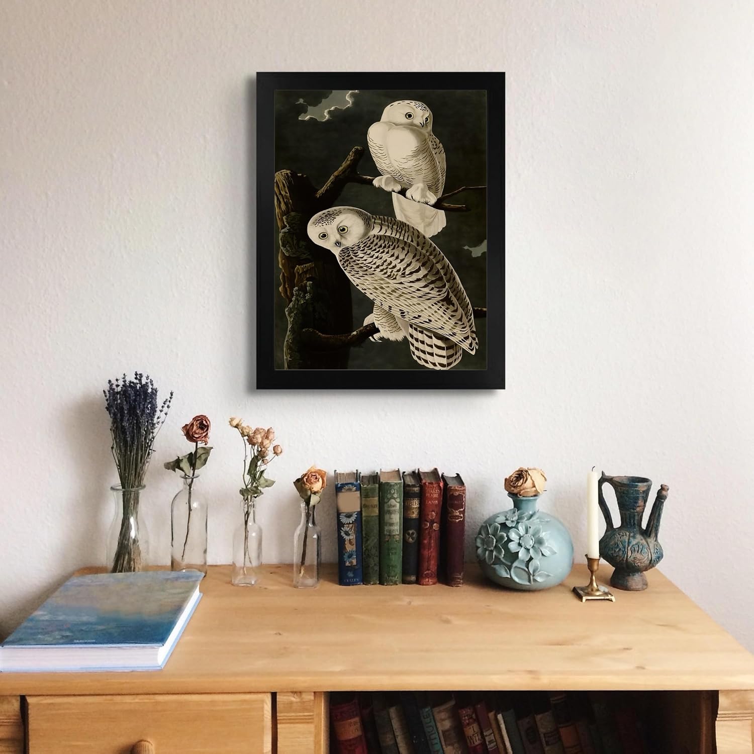 Lost Cabin Snowy Owl de James Audubon  Impresión en marco biselado negro  Reproducción de pintura de obras de arte finas  Póster decorativo