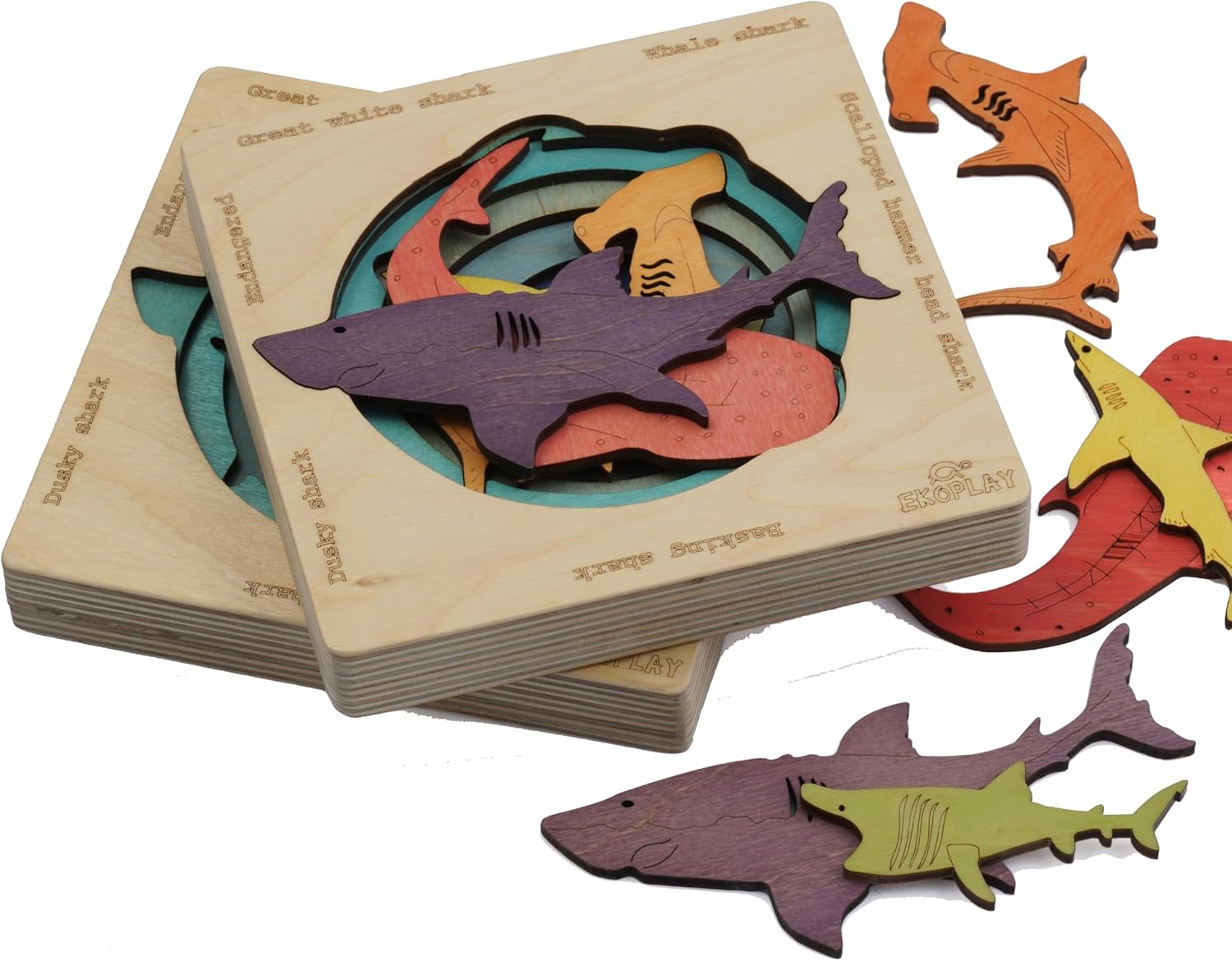 Tiburones en peligro de extinción  Rompecabezas de madera multicapa para niños  Martillo, gran tiburón blanco, tiburón ballena, tiburón oscuro,