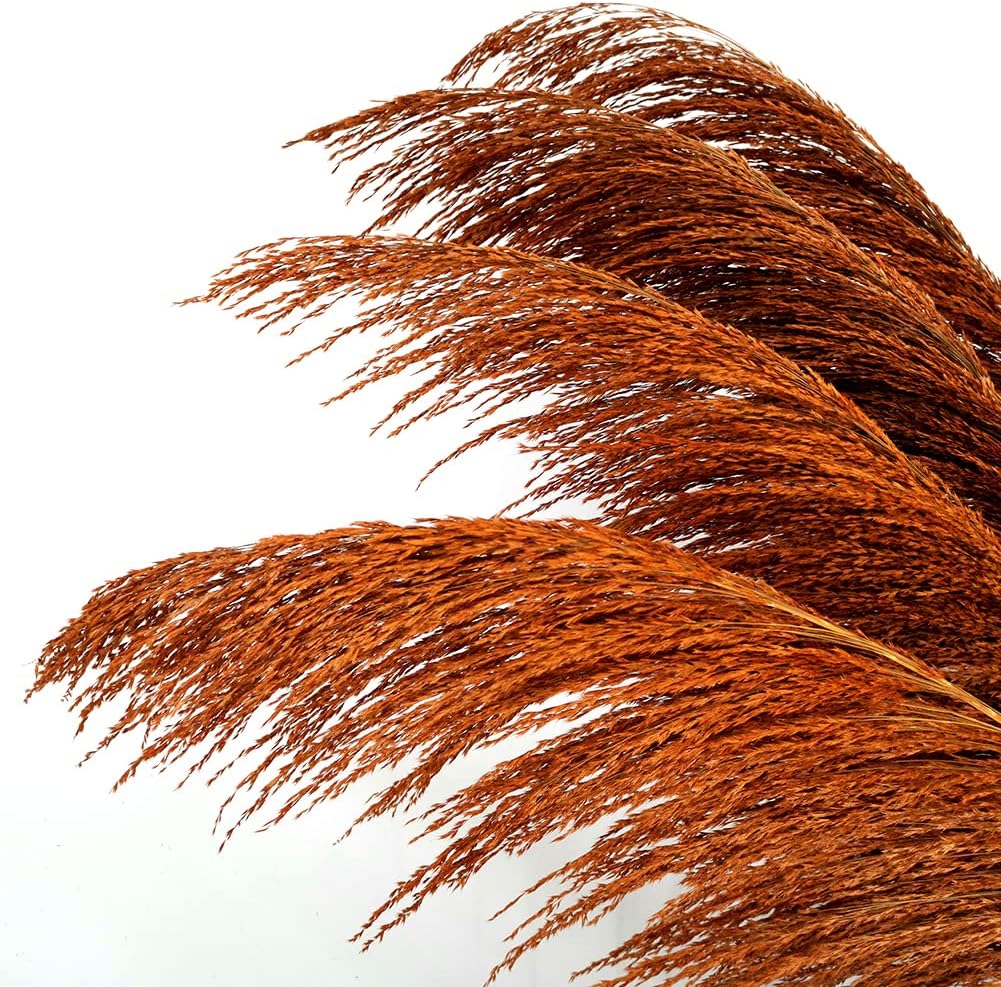 Hierba de pampa naranja quemada alta, 4 pampas marrón natural de 43.3 pulgadas, pompas florales con aroma a flores secas, elegante planta seca