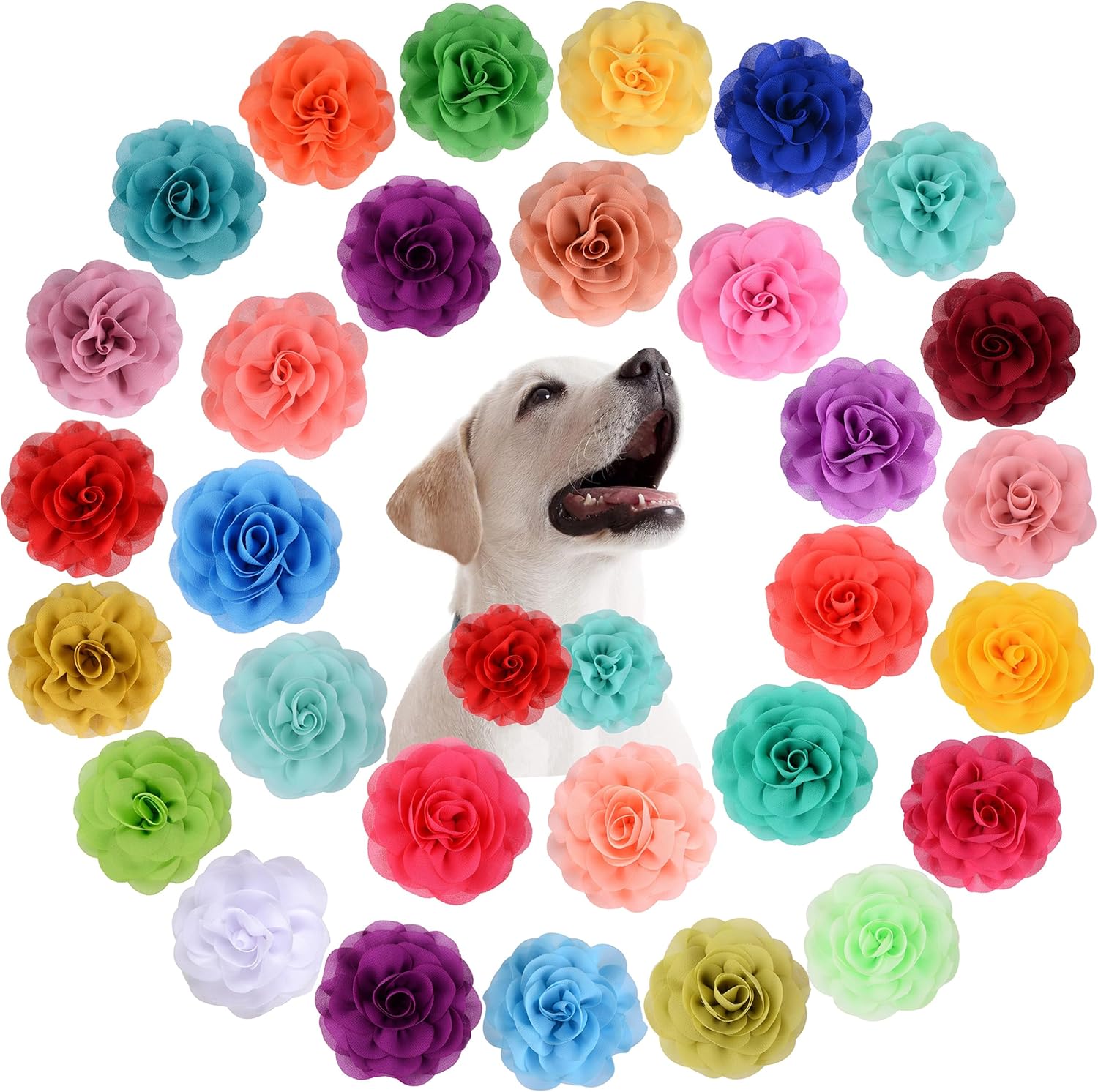 POSAPET 30 piezas de collar de perro, accesorios de flores, collar de flores para mascotas, dijes de flores para mascotas, collares de flores para