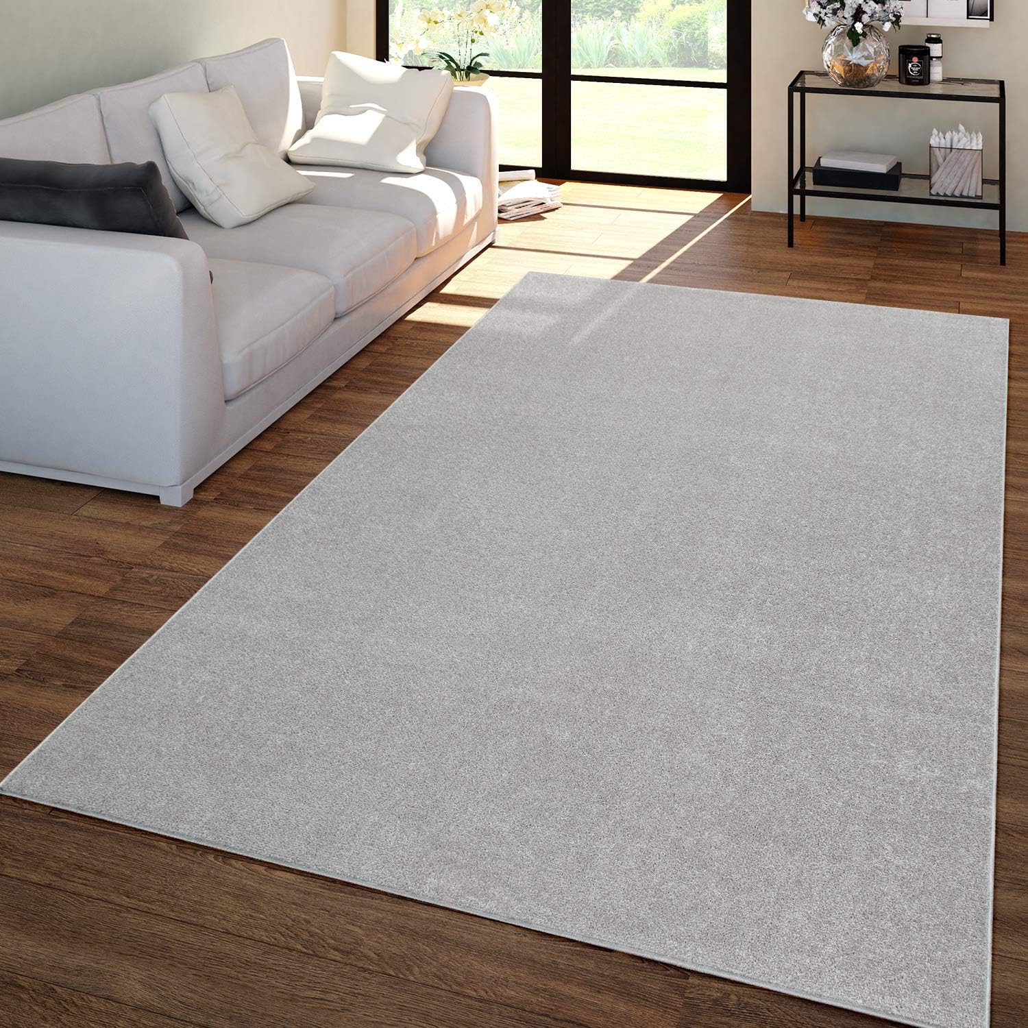 Paco Home Alfombra de área sólida en diseño liso moderno, plateado, tamaño 2′ x 3’3″