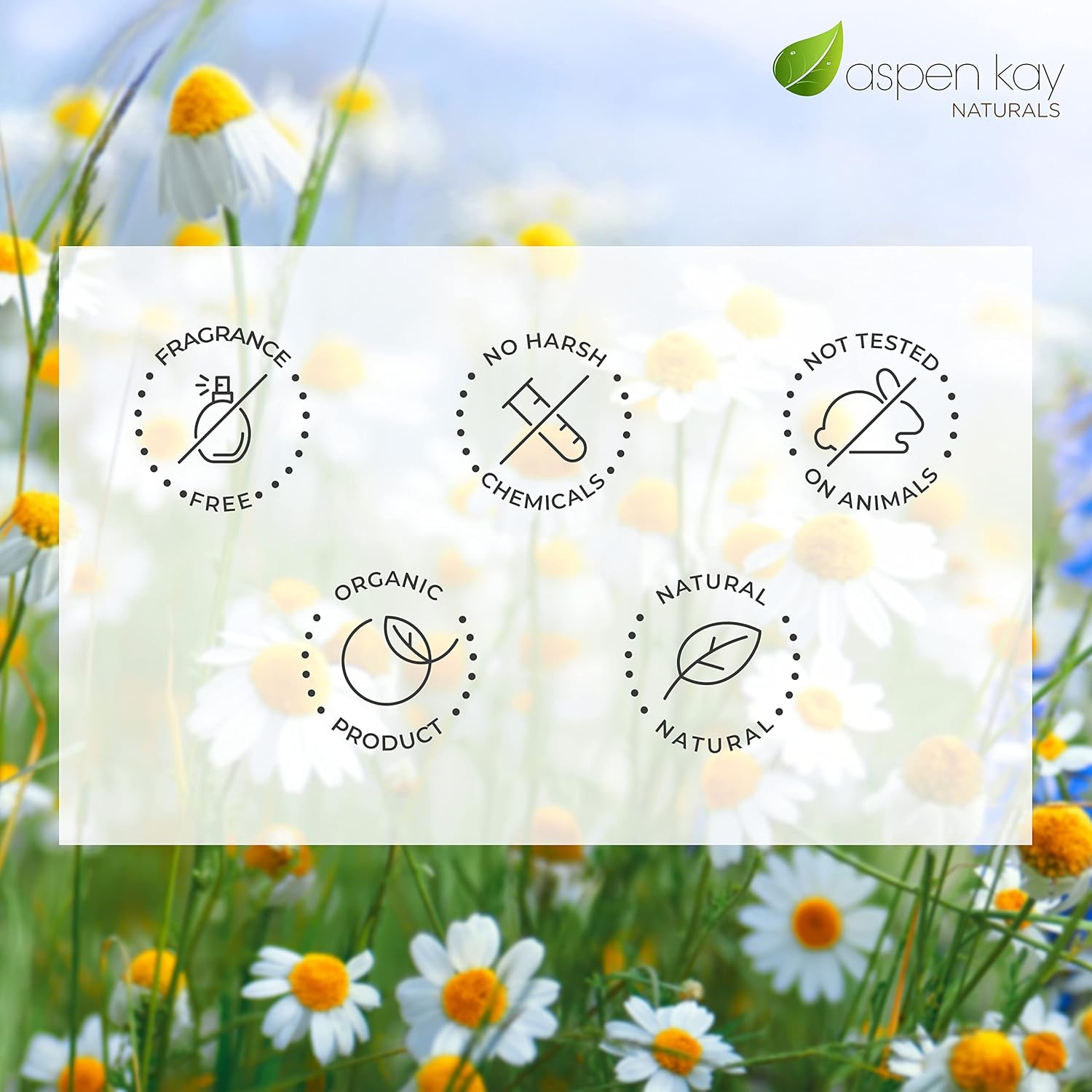 Aspen Kay Naturals Barra de jabón hecha a mano del Mar Muerto para cara y cuerpo (paquete de 6) natural y orgánico – Carbón activado y aceites