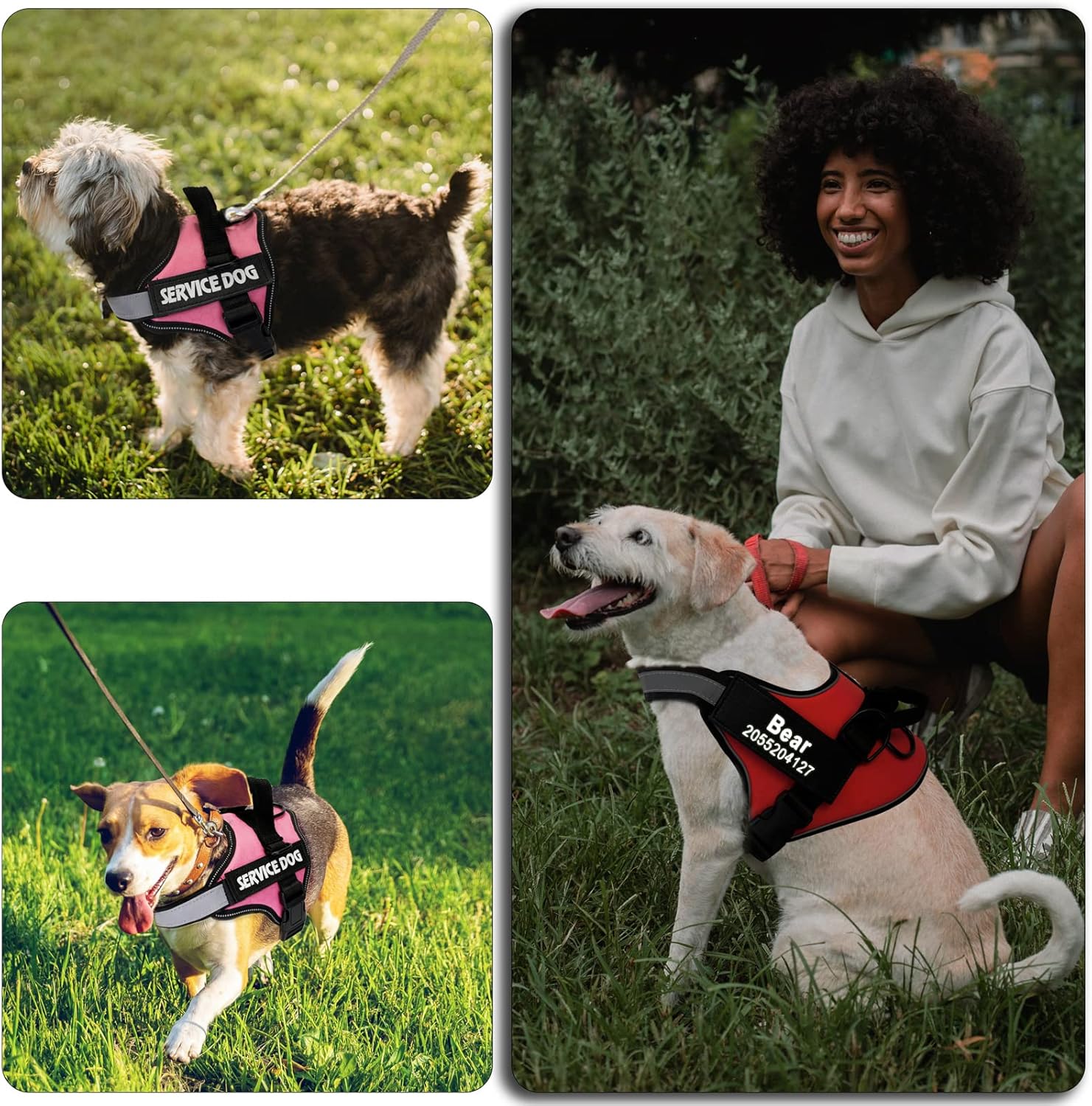 2 parches personalizados para chaleco para perro, parches tácticos extraíbles personalizados para arnés de perro, perro de servicio en entrenamiento