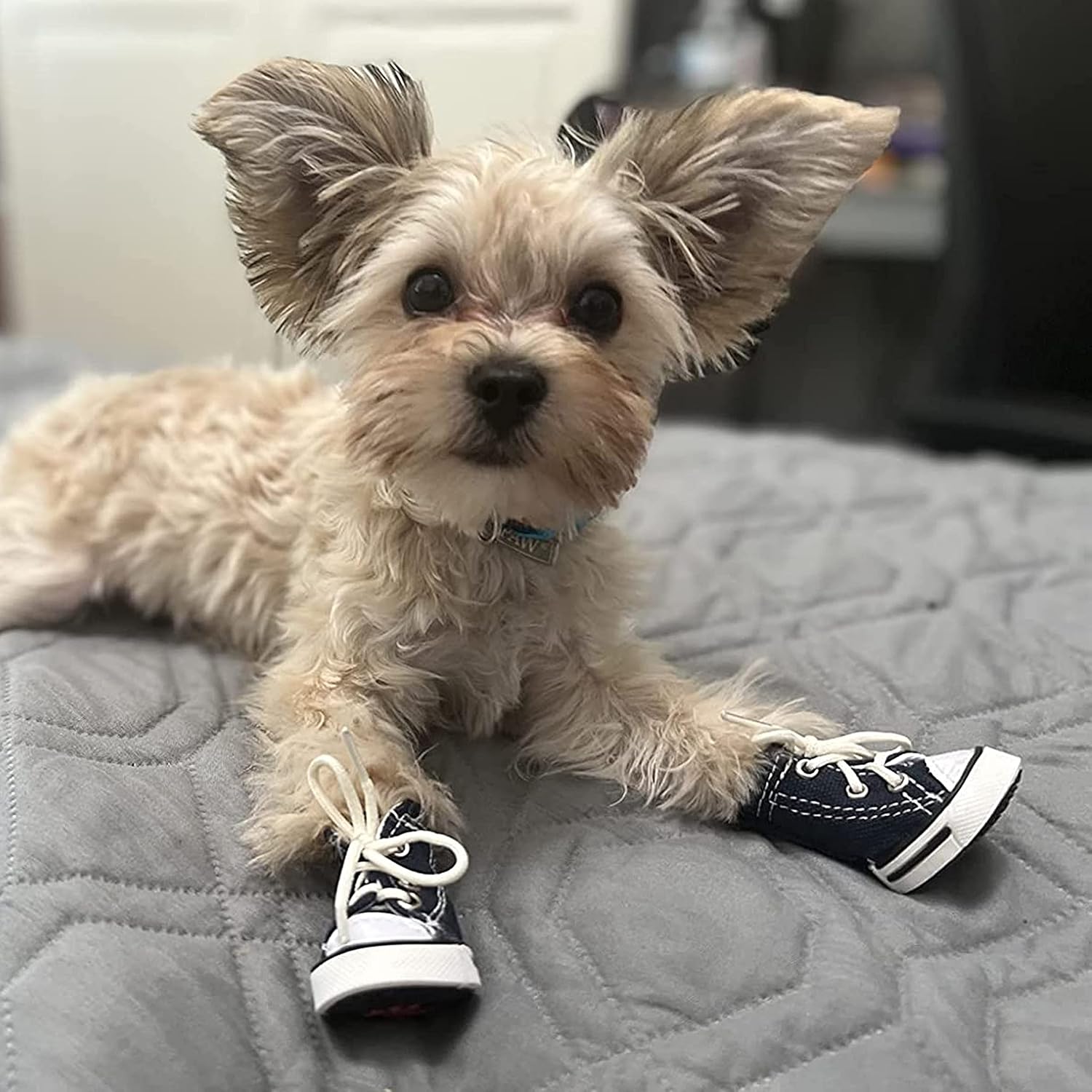 HPWFHPLF Botas para perro, zapatos deportivos para perros pequeños, medianos y grandes, protectores de patas antideslizantes para pavimento caliente