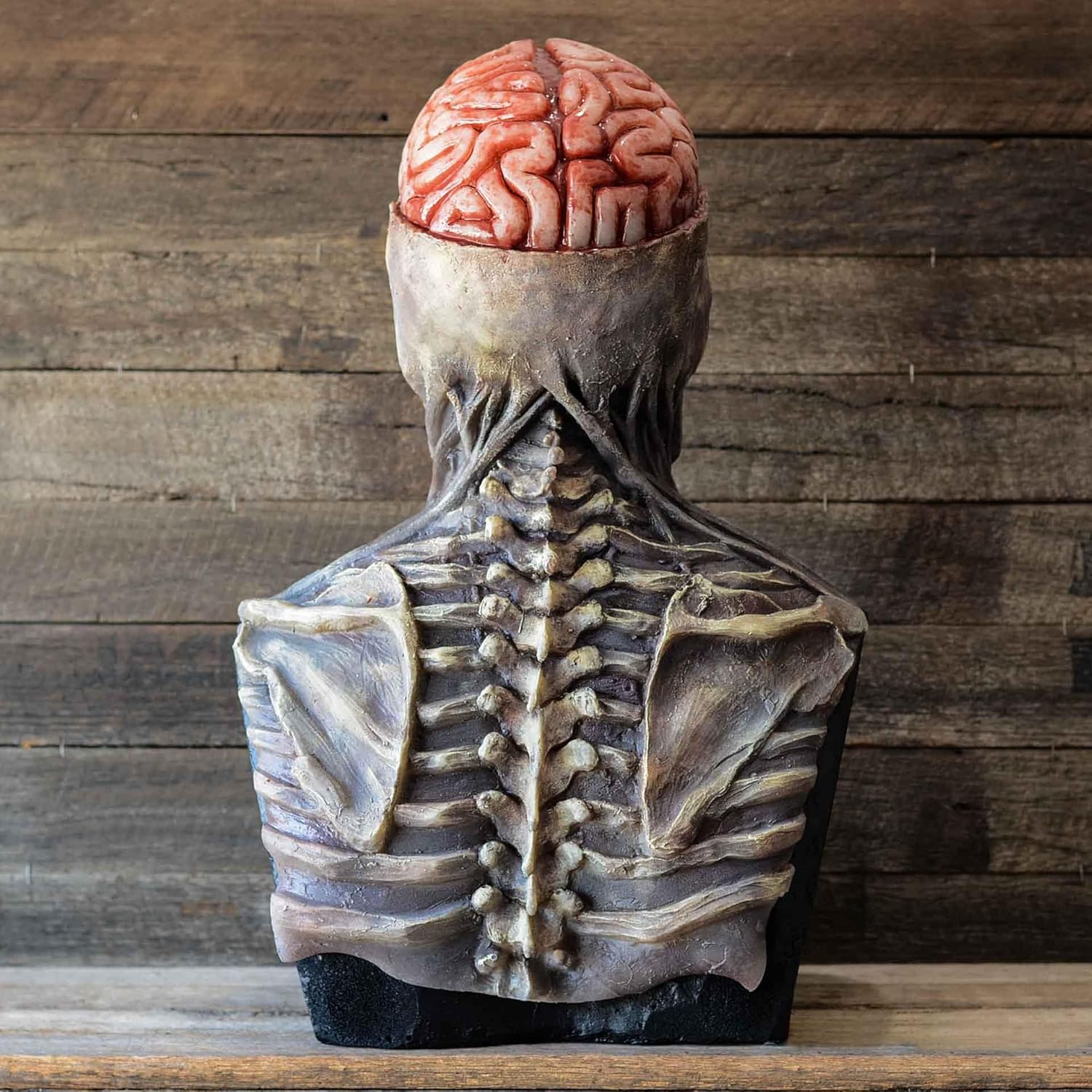 RIYUNE Máscara de látex de calavera de cerebro desnudo, máscara de calavera de Halloween, máscara de calavera en movimiento, disfraces de Halloween,