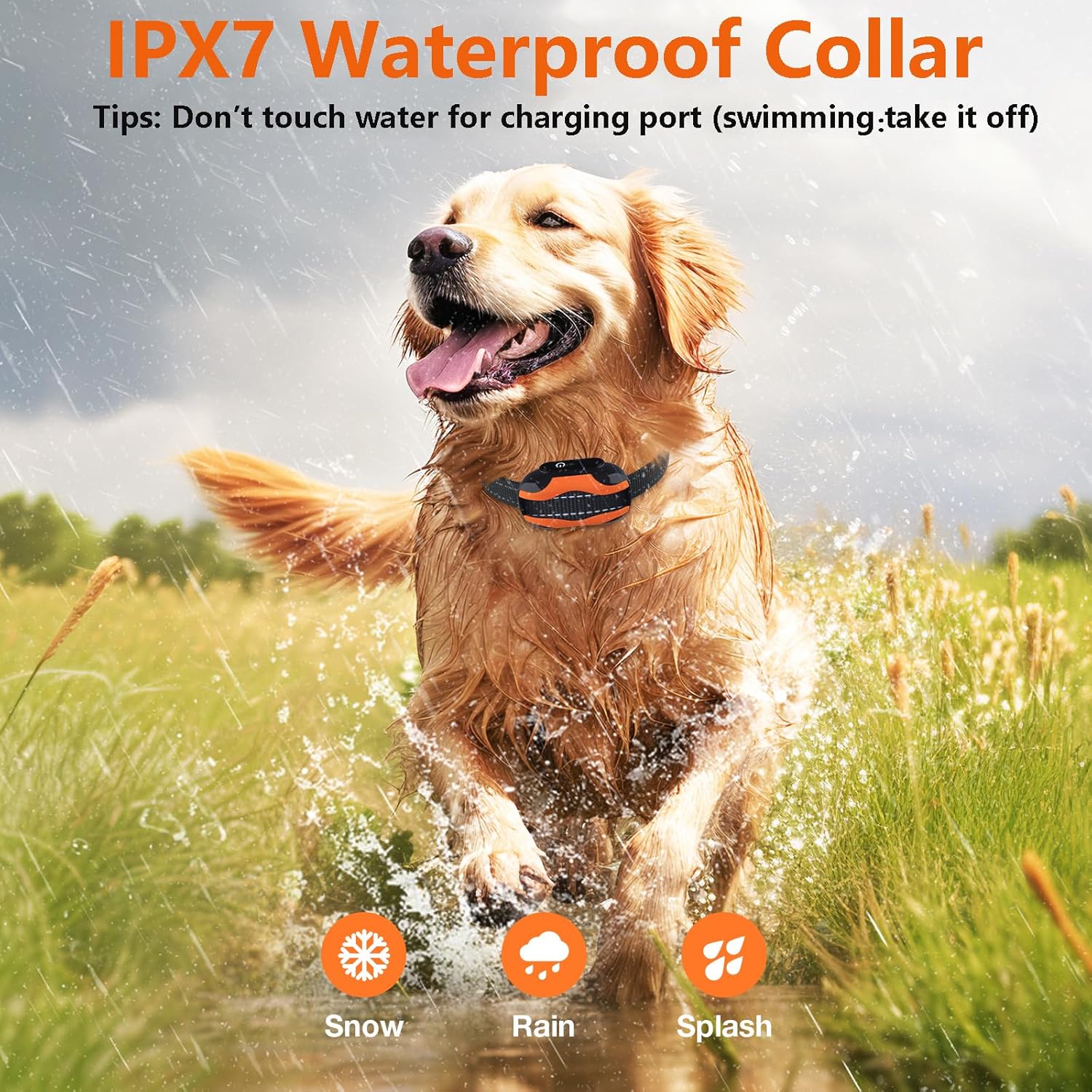 MASBRILL – Collar de entrenamiento para perros de 2000 pies con control remoto, collares de entrenamiento impermeables recargables para perros
