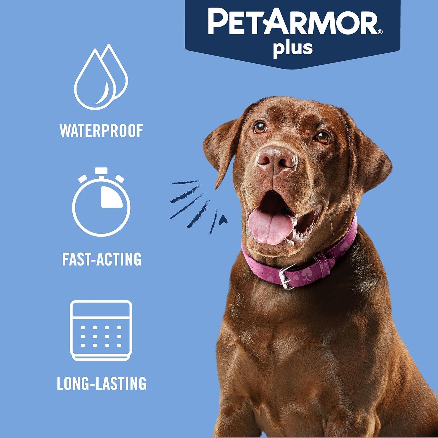 PetArmor Plus Prevención de pulgas y garrapatas para perros, tratamiento de pulgas y garrapatas de perro, 1 dosis, tópico impermeable, acción