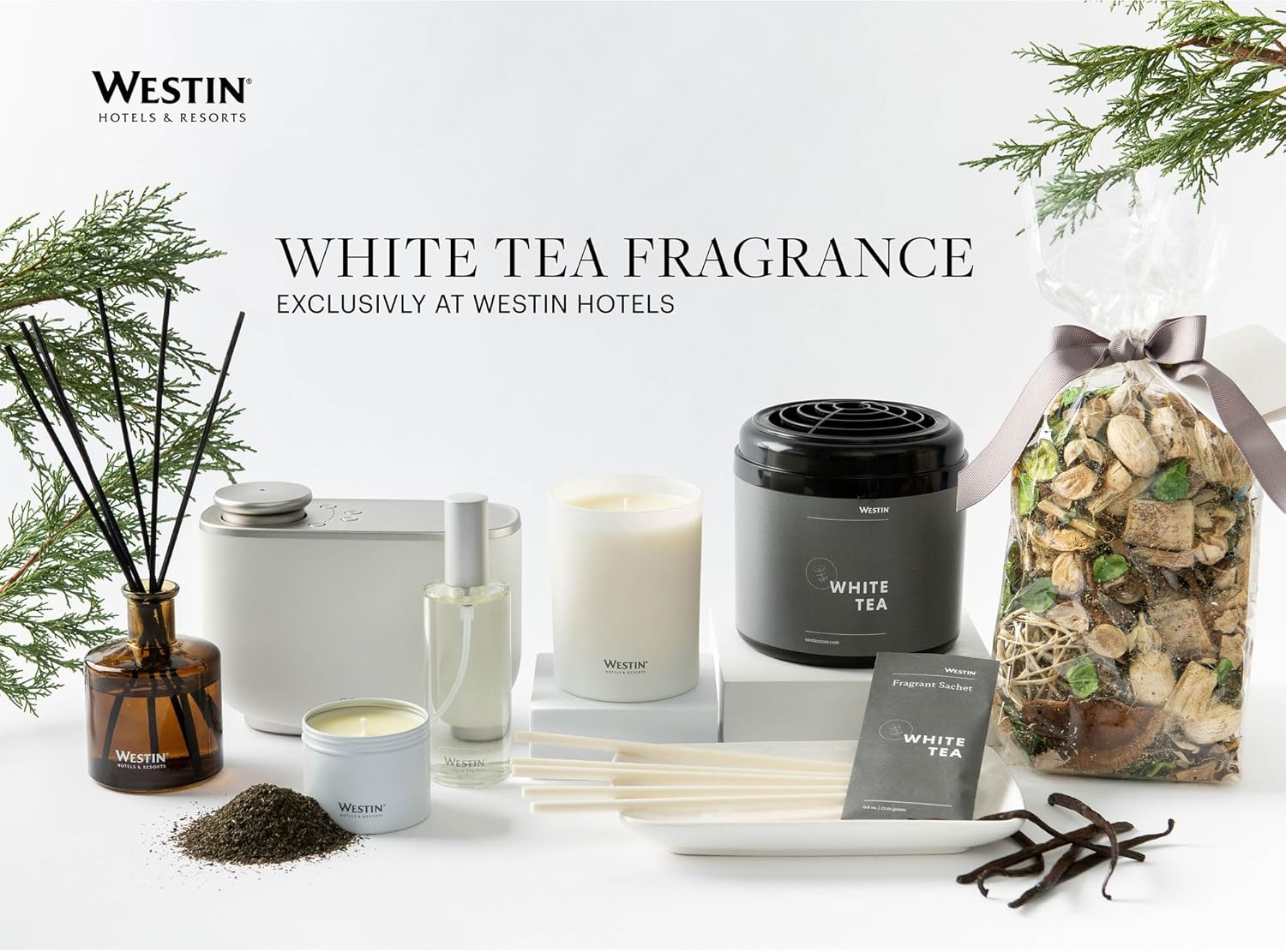 Westin Vela de té blanco en lata, vertida a mano, vela de soja en lata, aroma característico de té blanco, 4 onzas, juego de 10