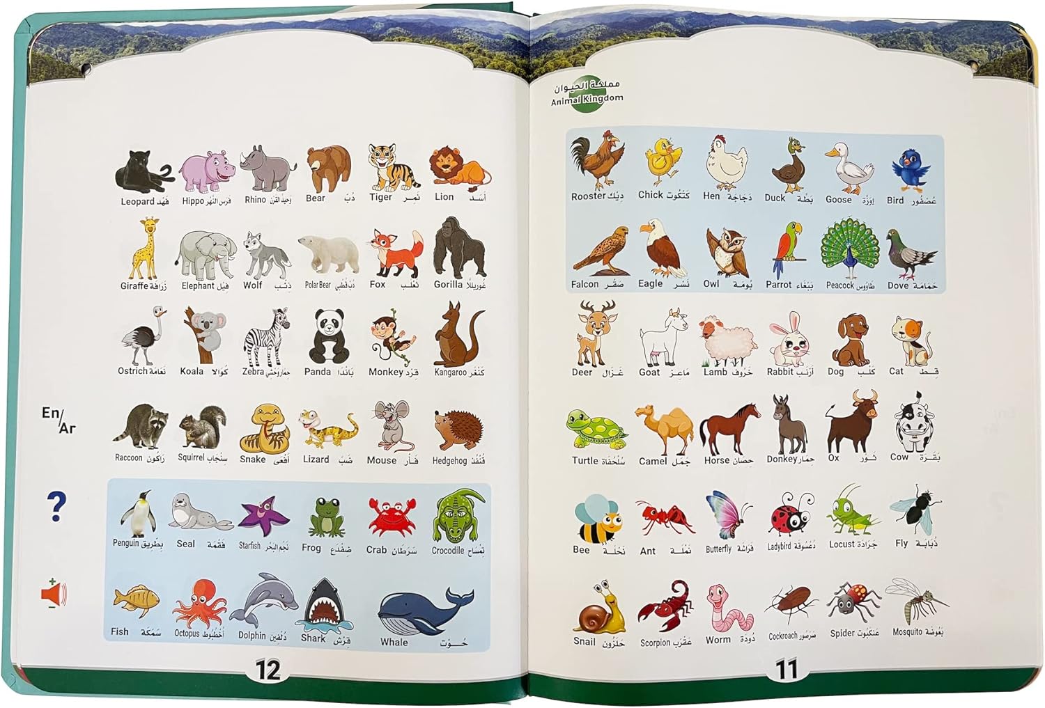 Libro de alfabeto árabe para niños con traducciones al inglés, aprender el número del alfabeto árabe Corán, libro de aprendizaje en árabe para