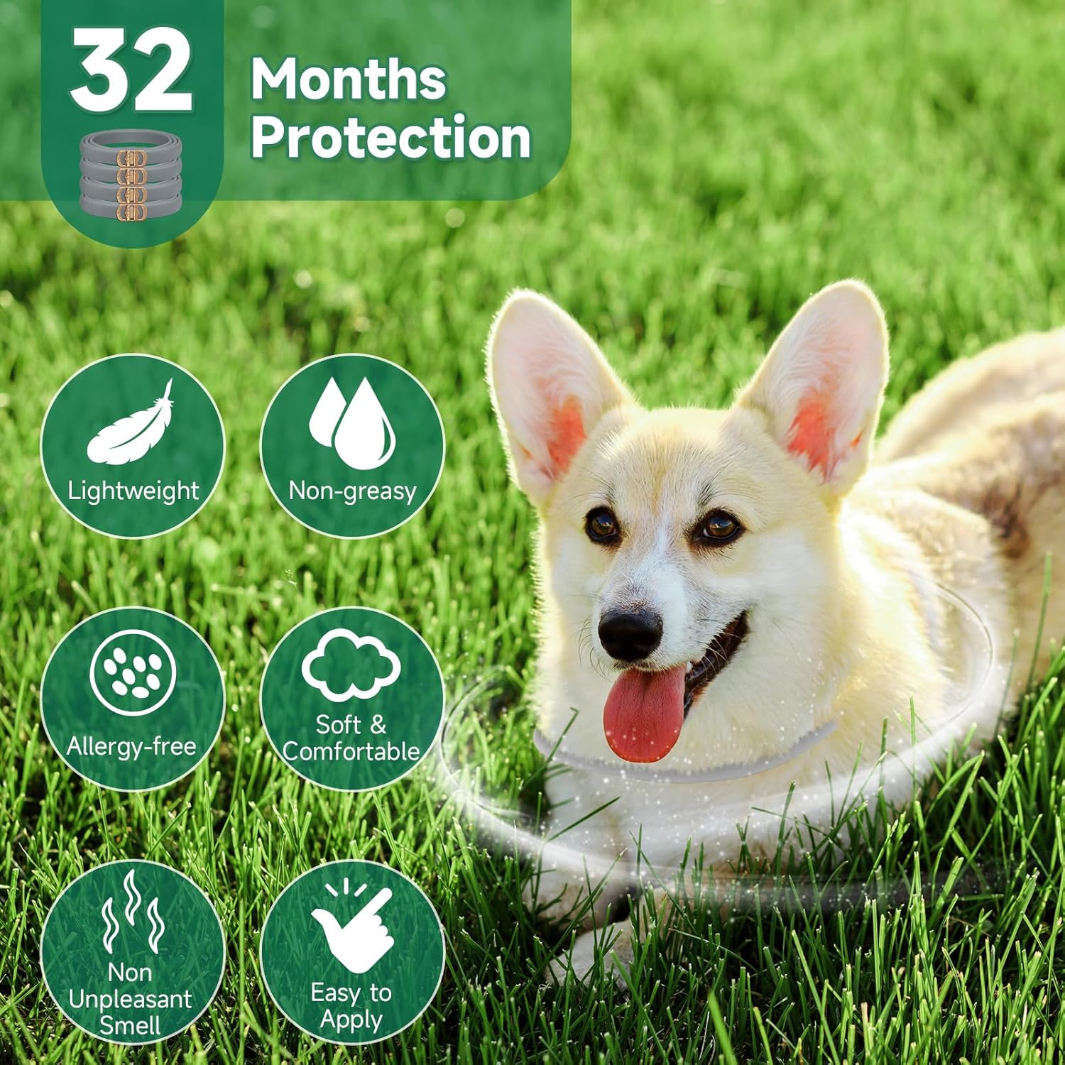 Paquete de 4 collares antipulgas para perros, tratamiento de pulgas y garrapatas de perro, 8 meses de protección contra pulgas y garrapatas para